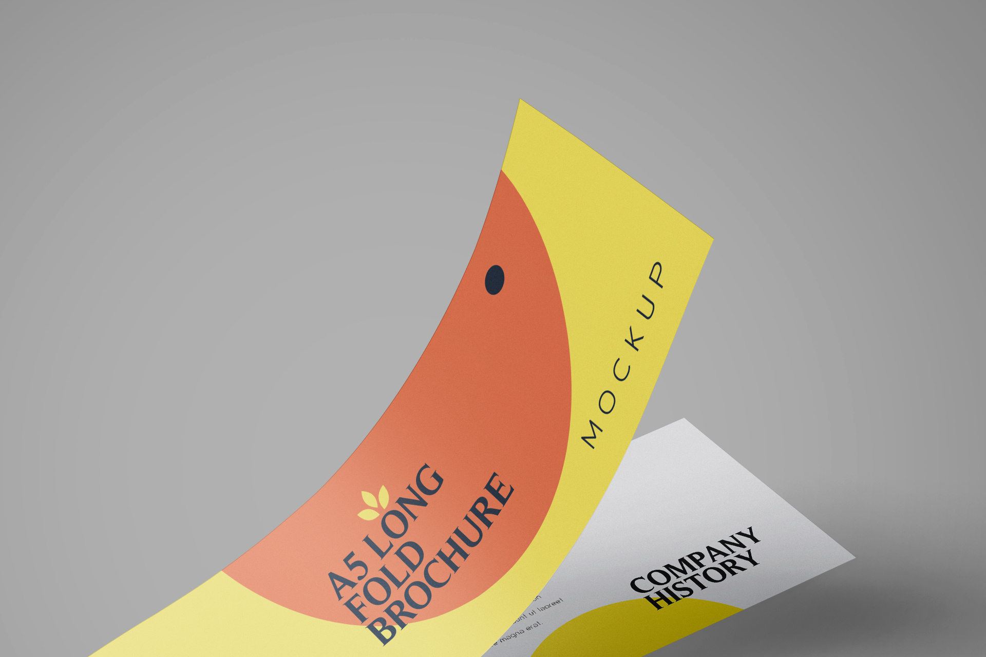 A5 brochure
