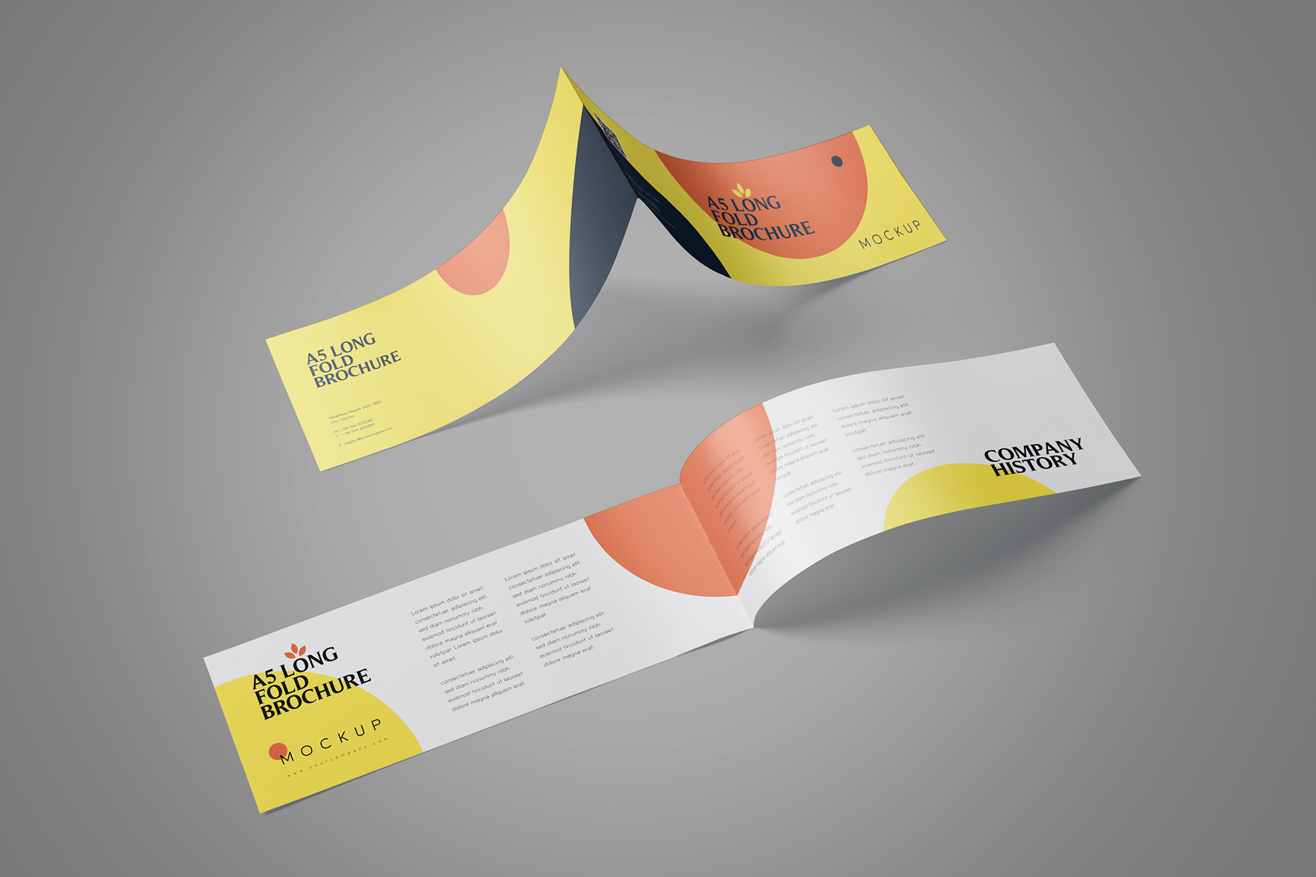 Realistic A5 Long Fold Brochure Mockup – Customizable