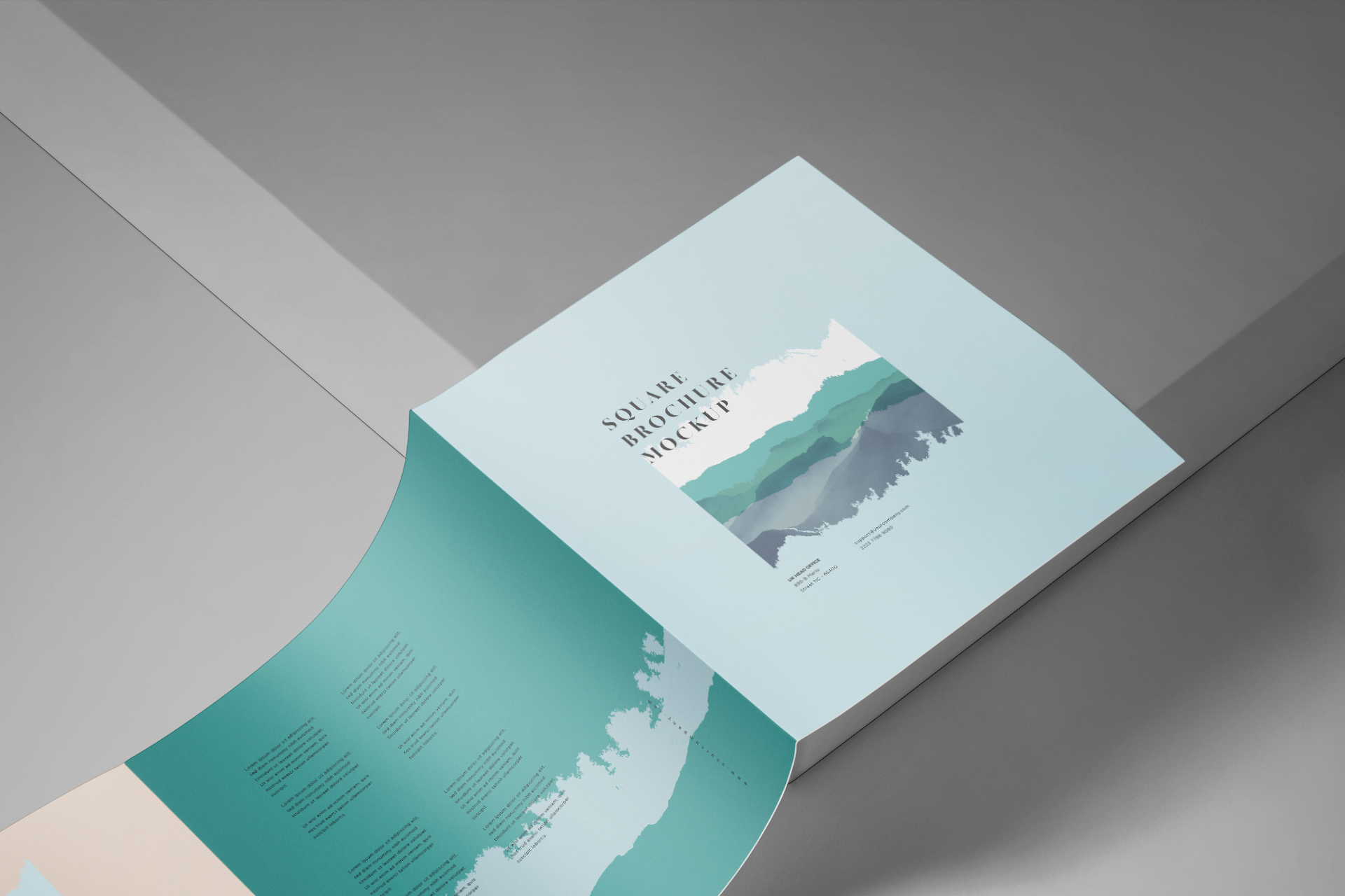advertising brochure