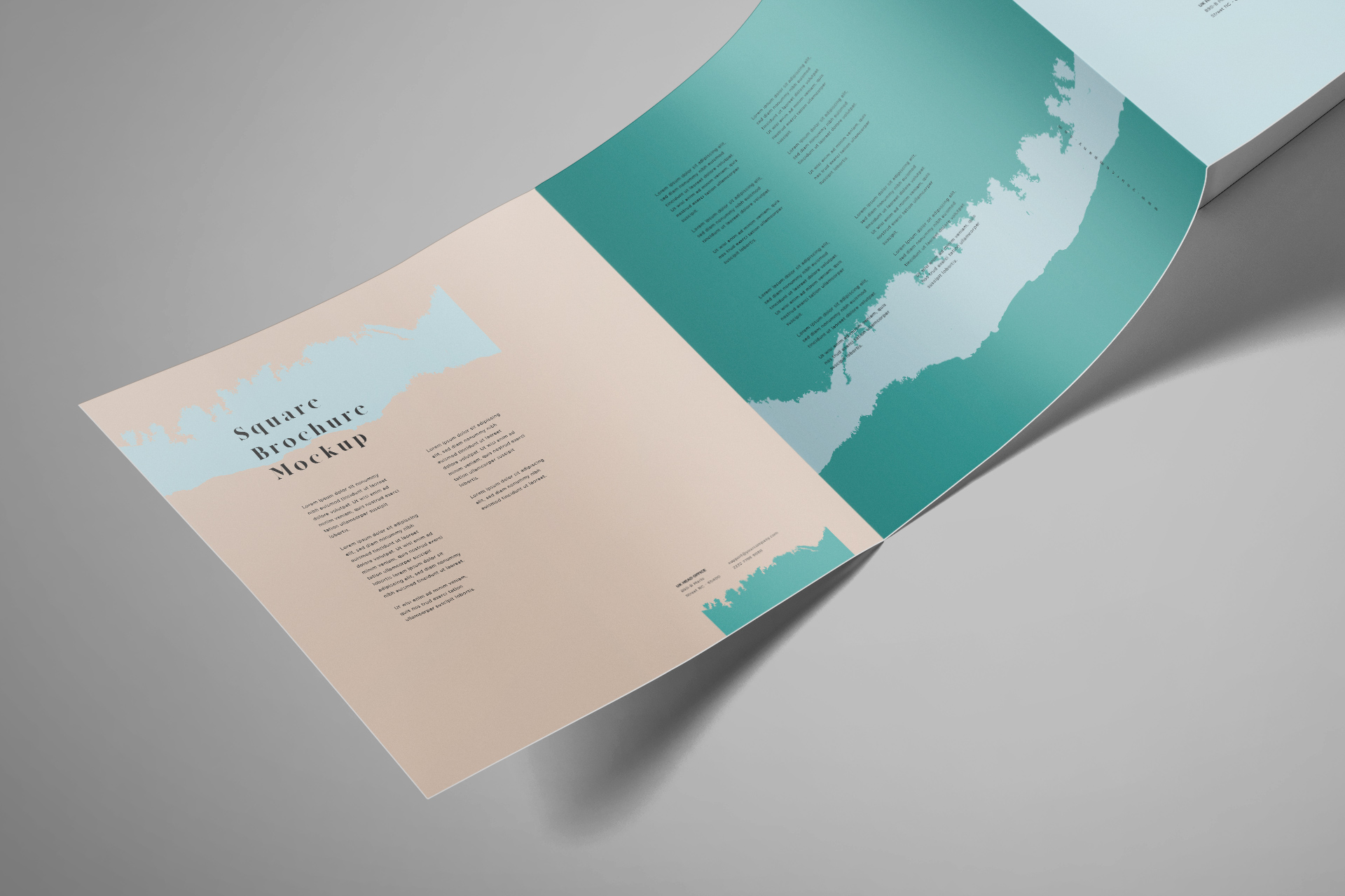 advertising brochure
