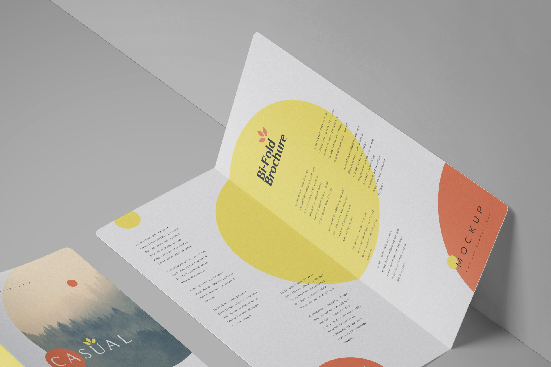 bi-fold mock-up
