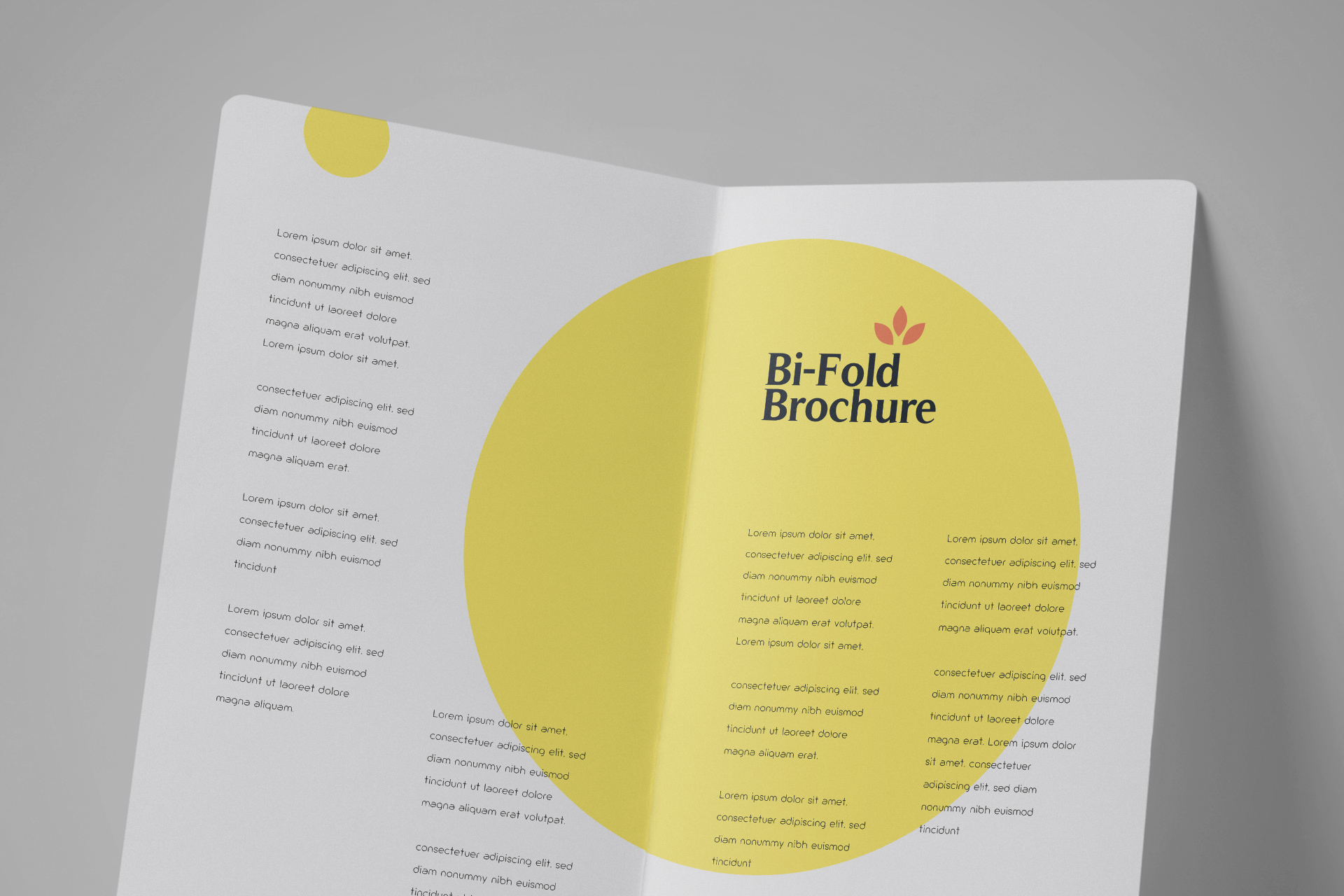 bifold mock-up