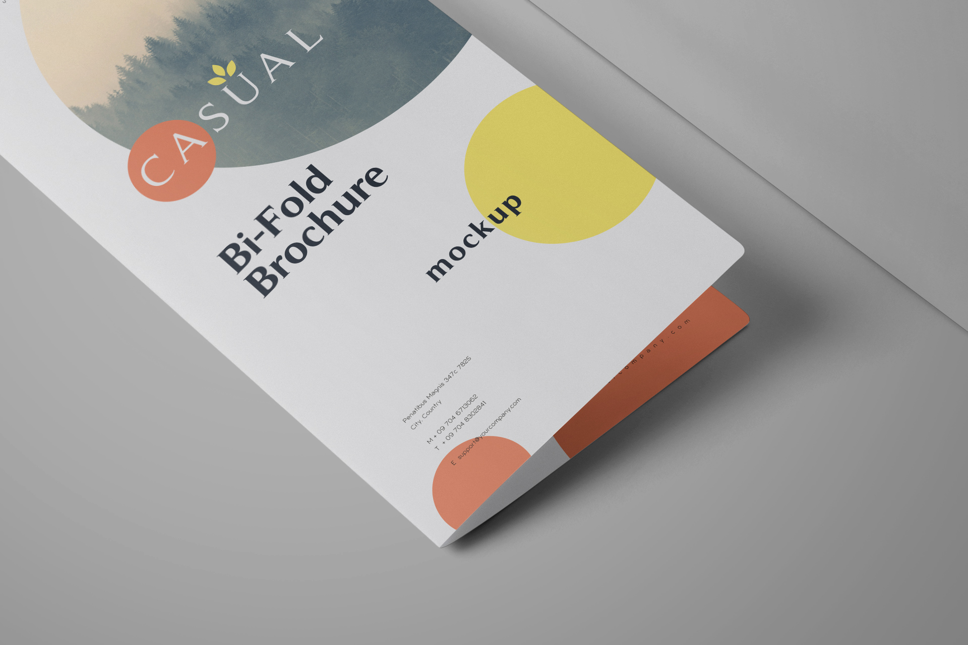 bifold mock-up
