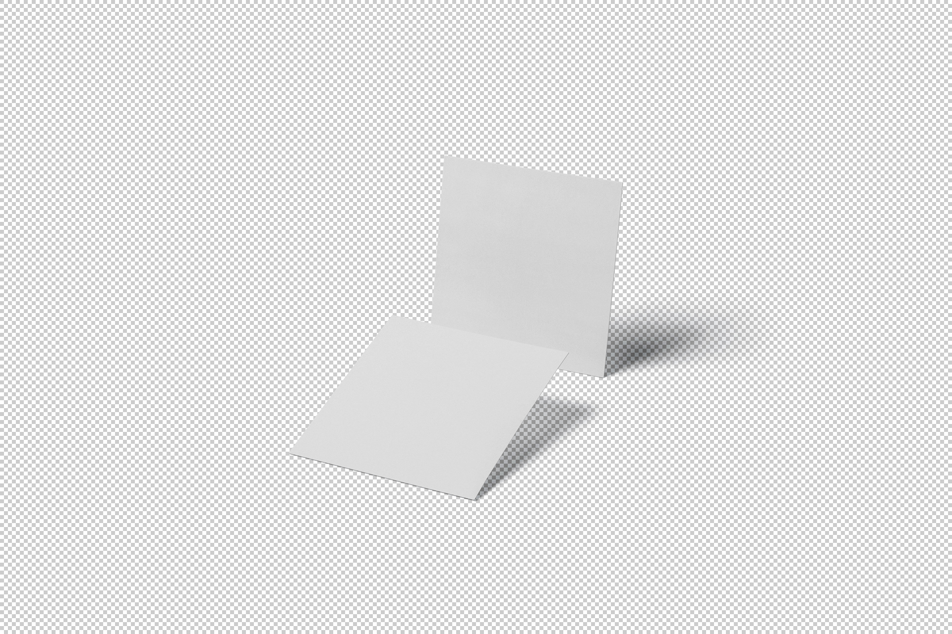 branding showcase