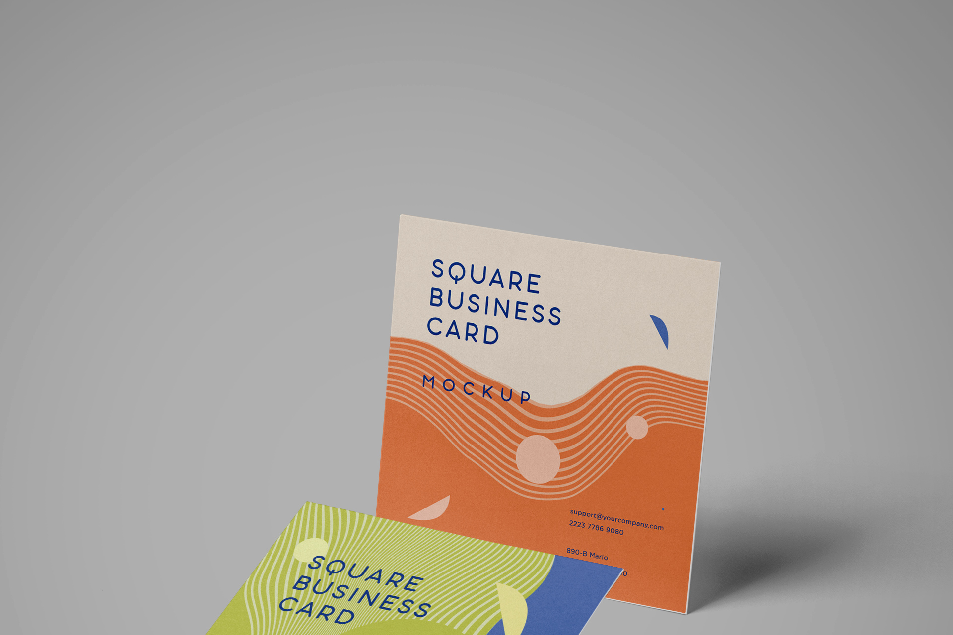 branding showcase