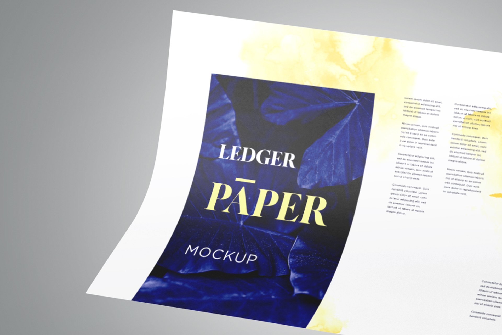 branding document PSD