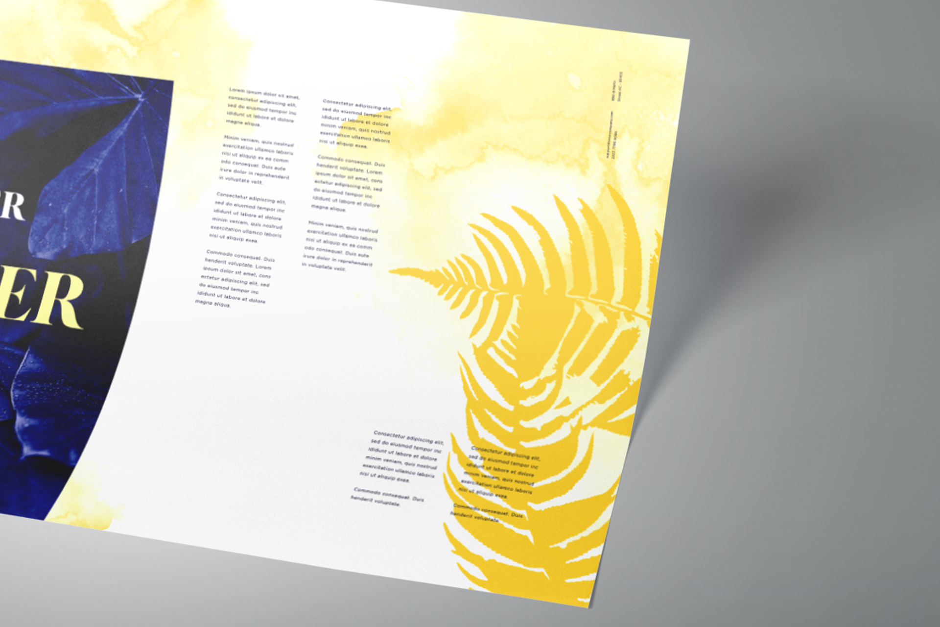 branding document PSD