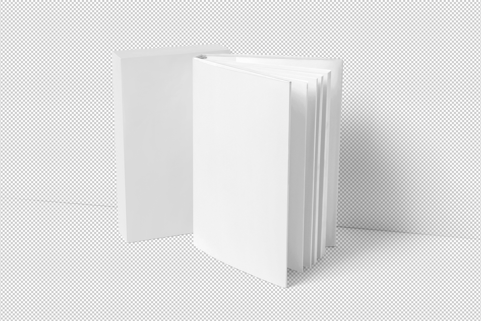 book presentation PSD