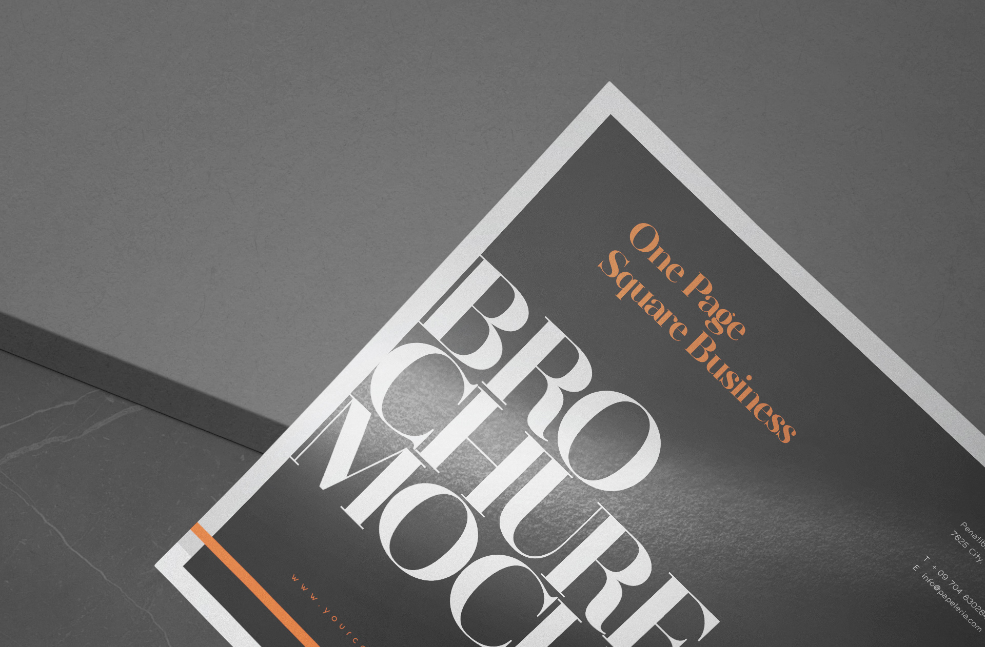 brochure branding PSD