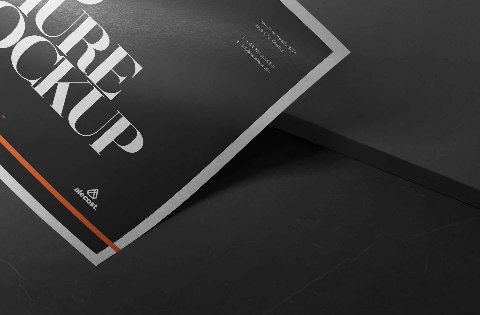 brochure branding PSD