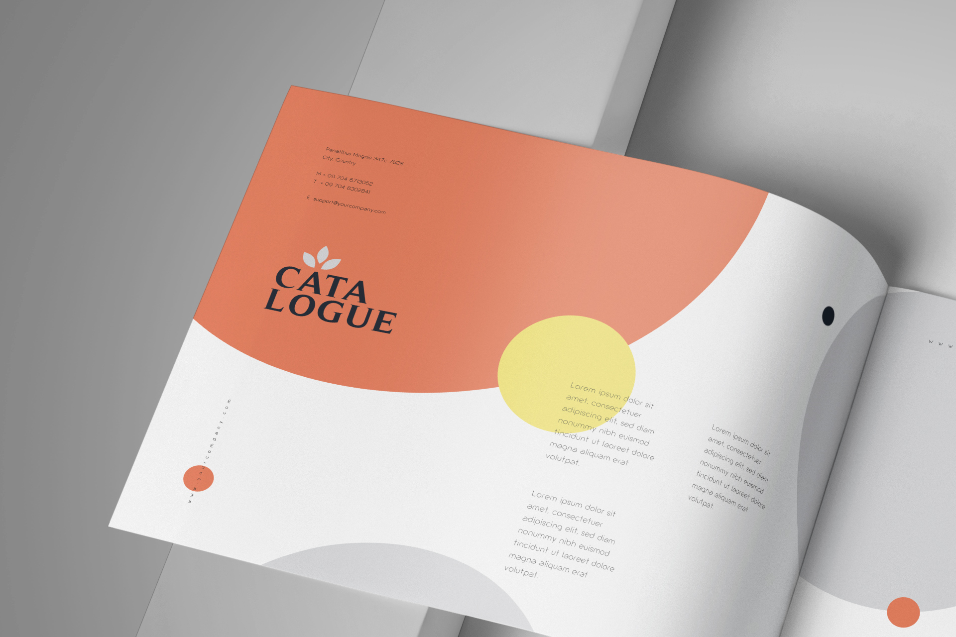 a4 brochure