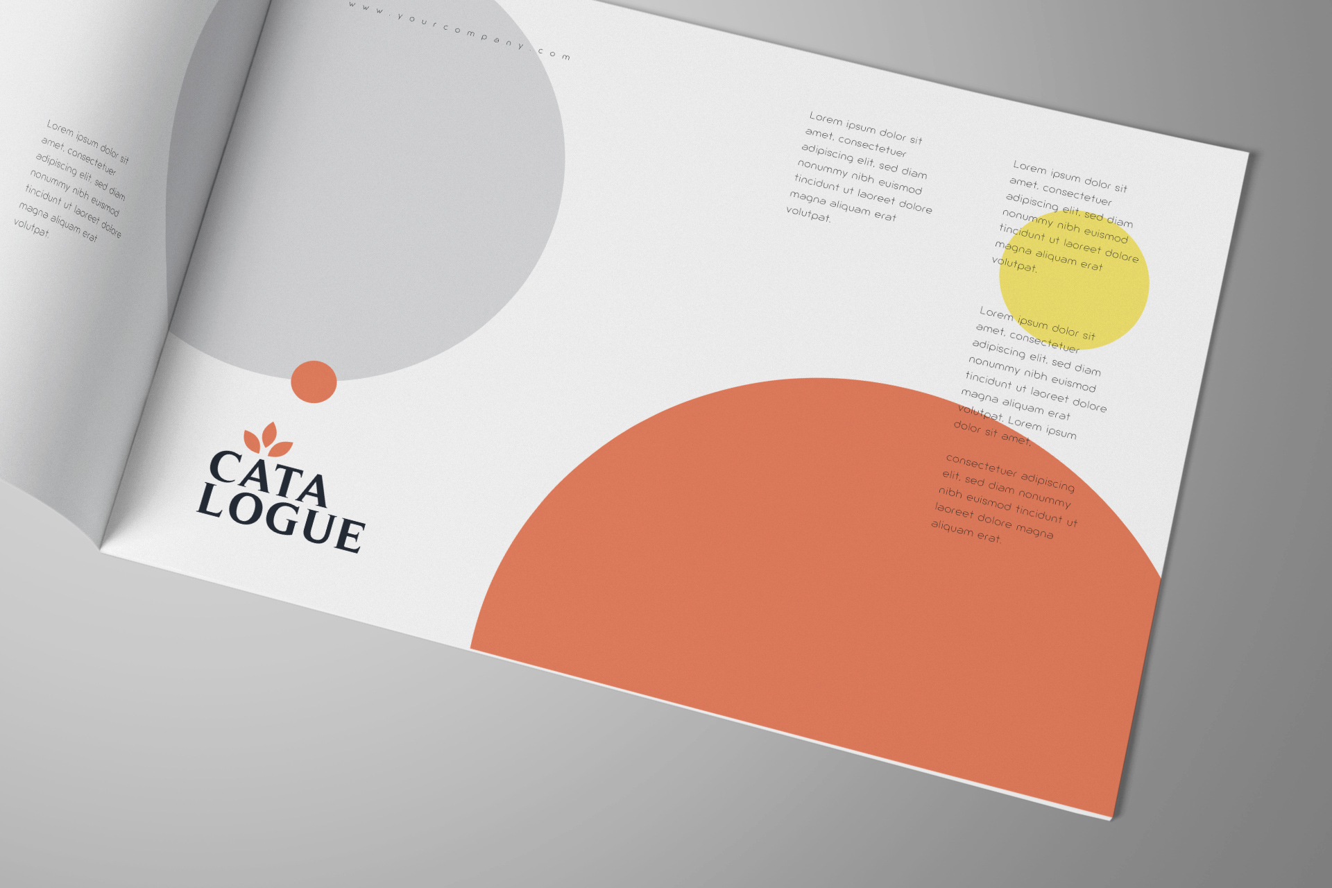 a4 brochure