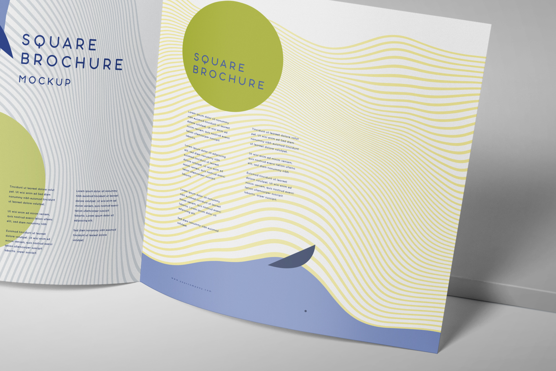 business brochure design