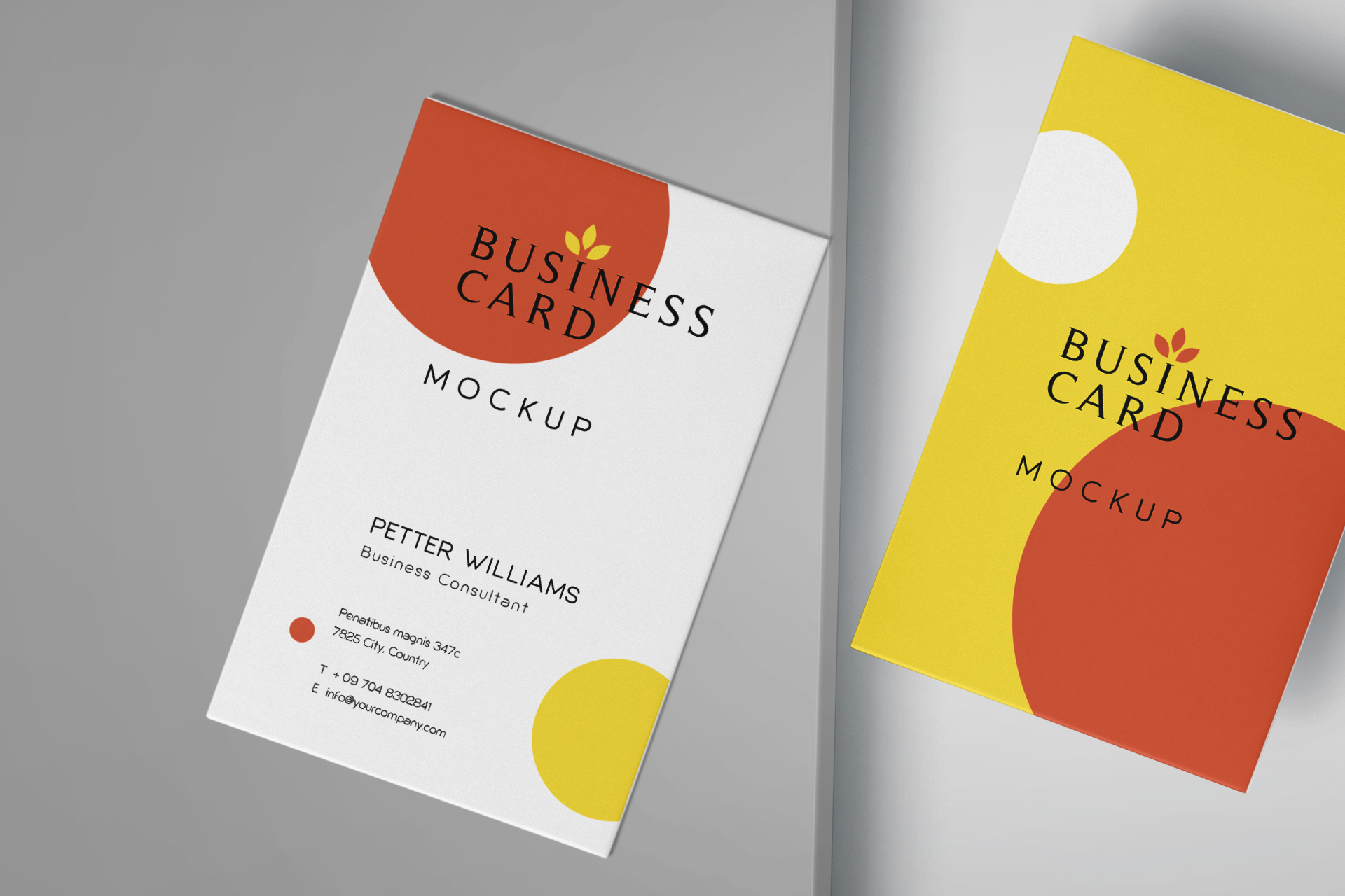 branding mockup