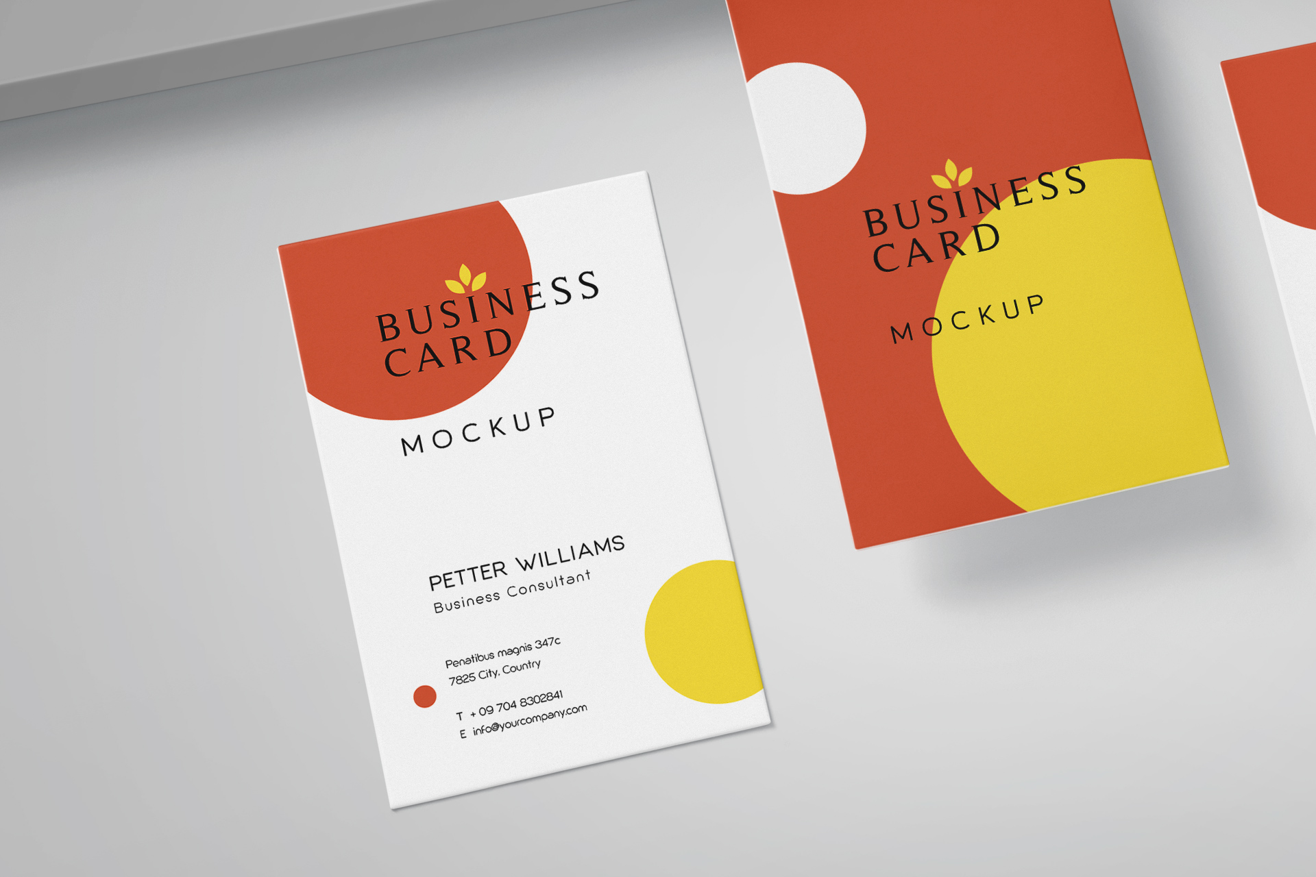 branding mockup