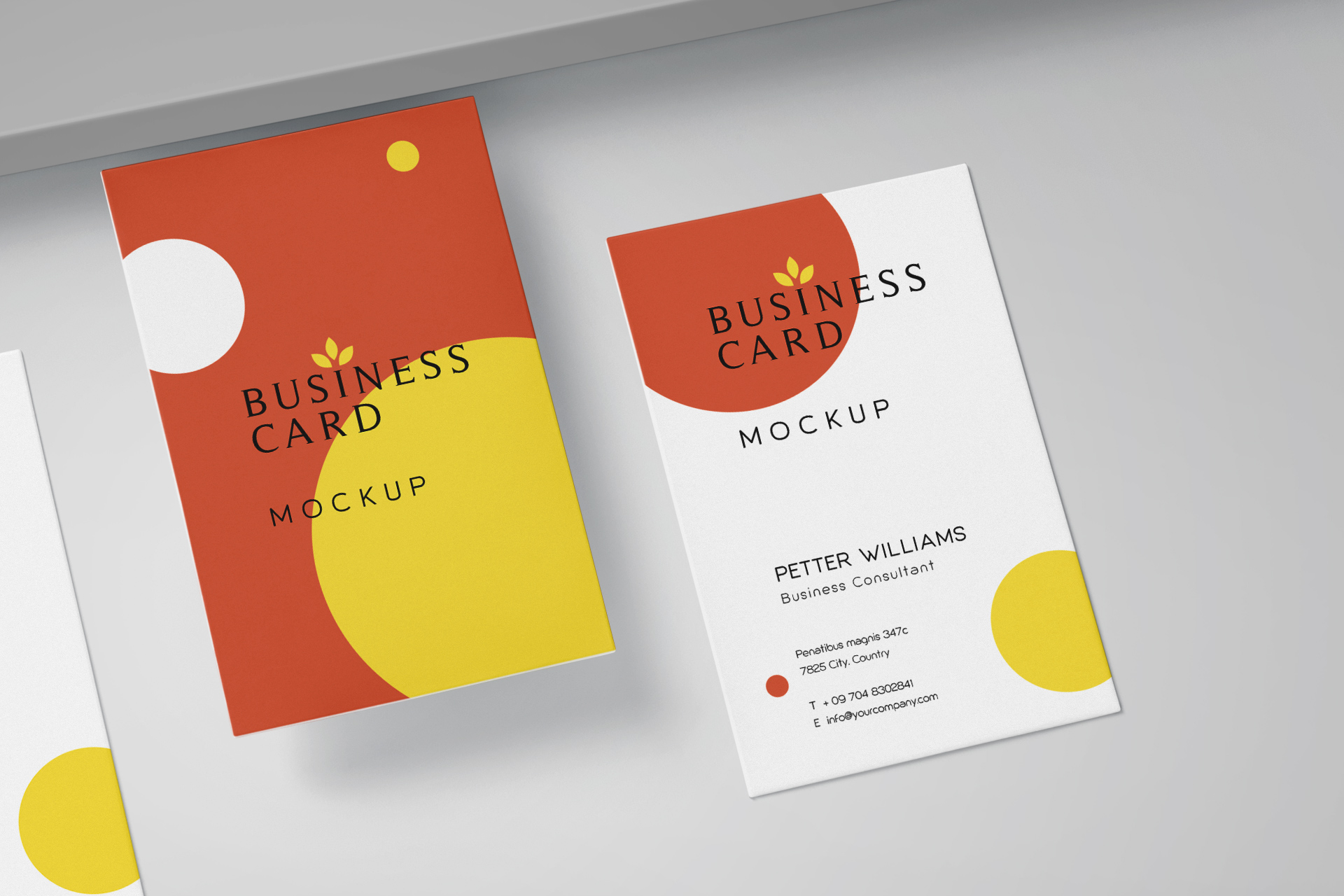 branding mockup