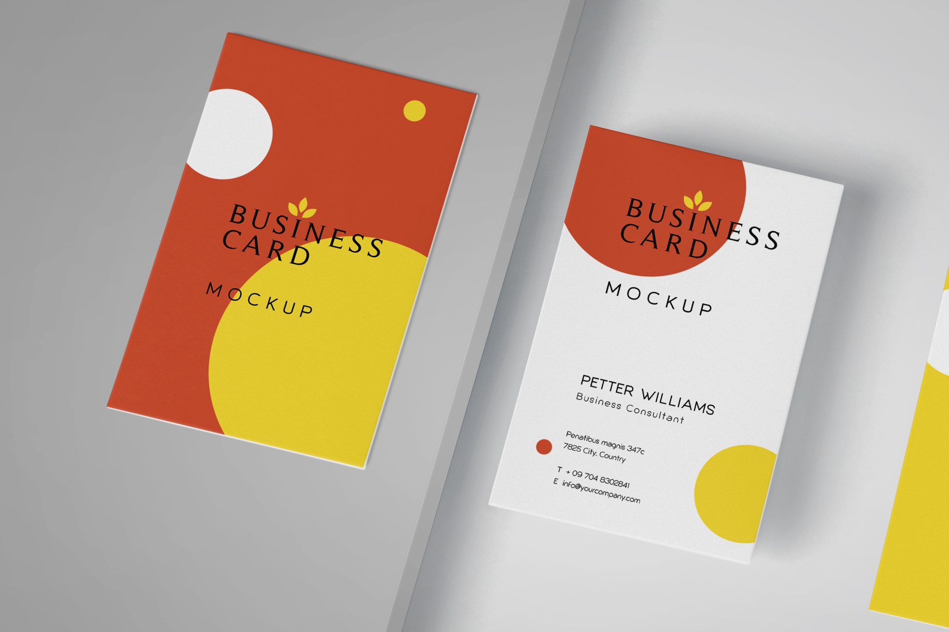 branding mockup