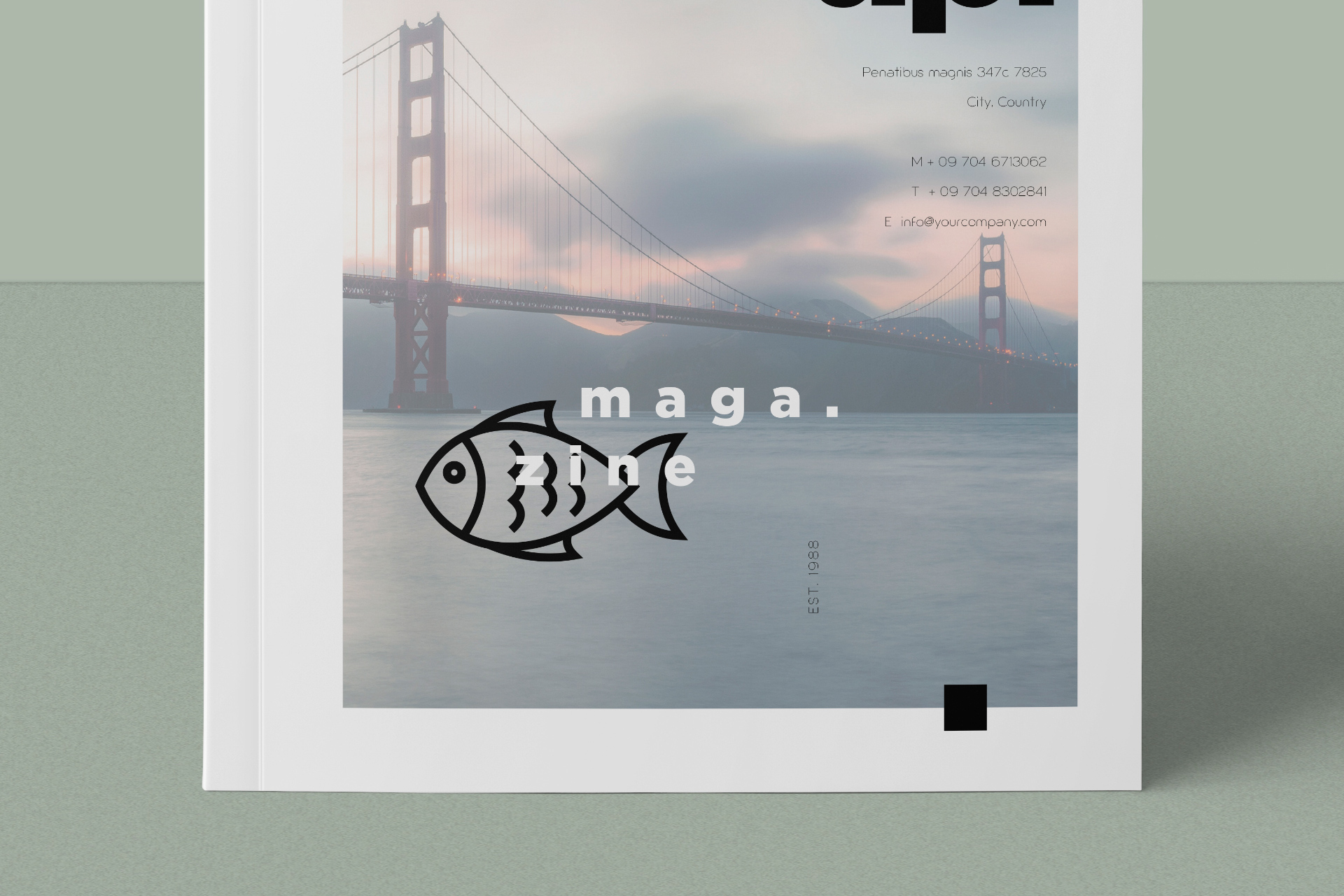 A4 magazine mockup