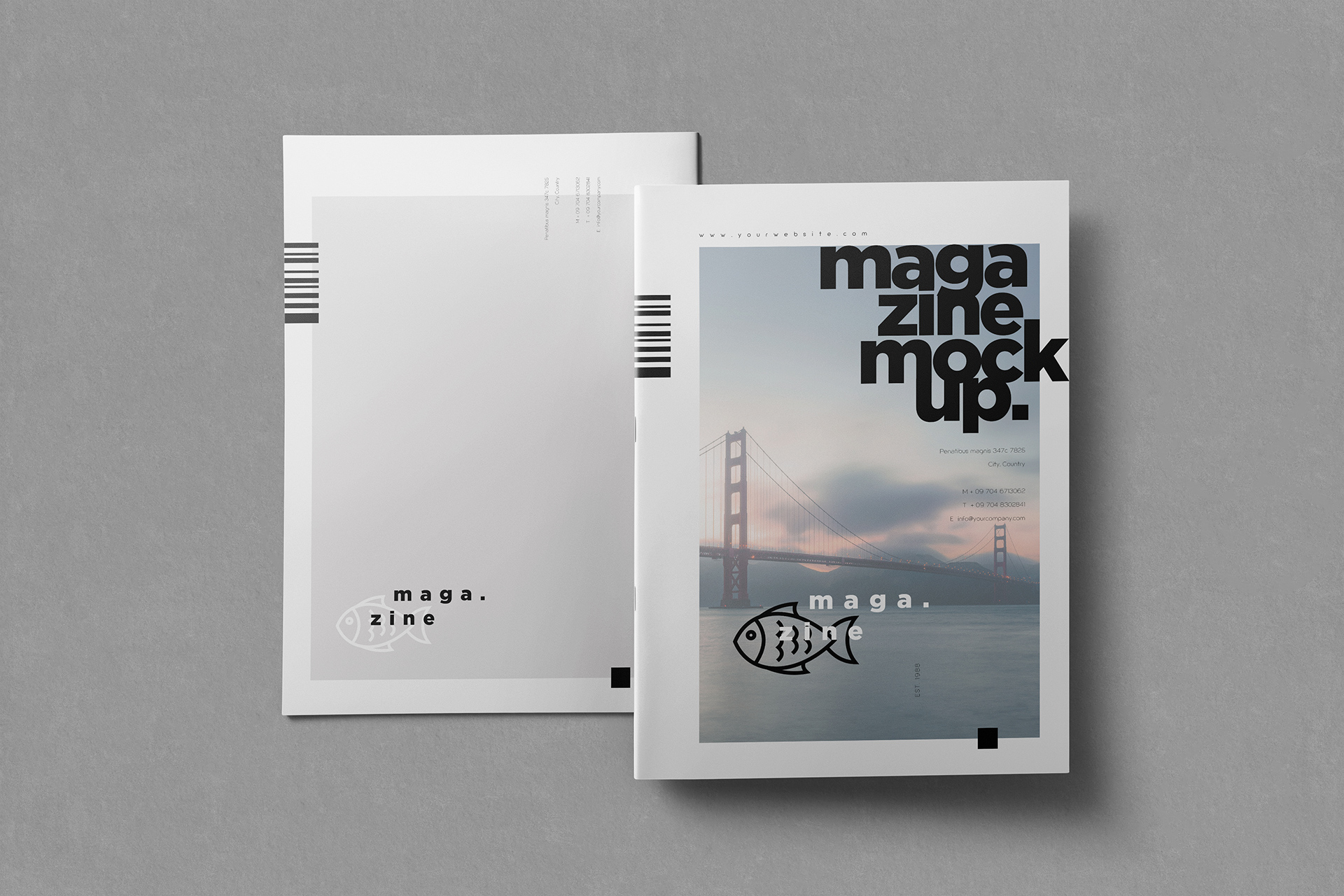 Front and Back Magazine Mockup PSD