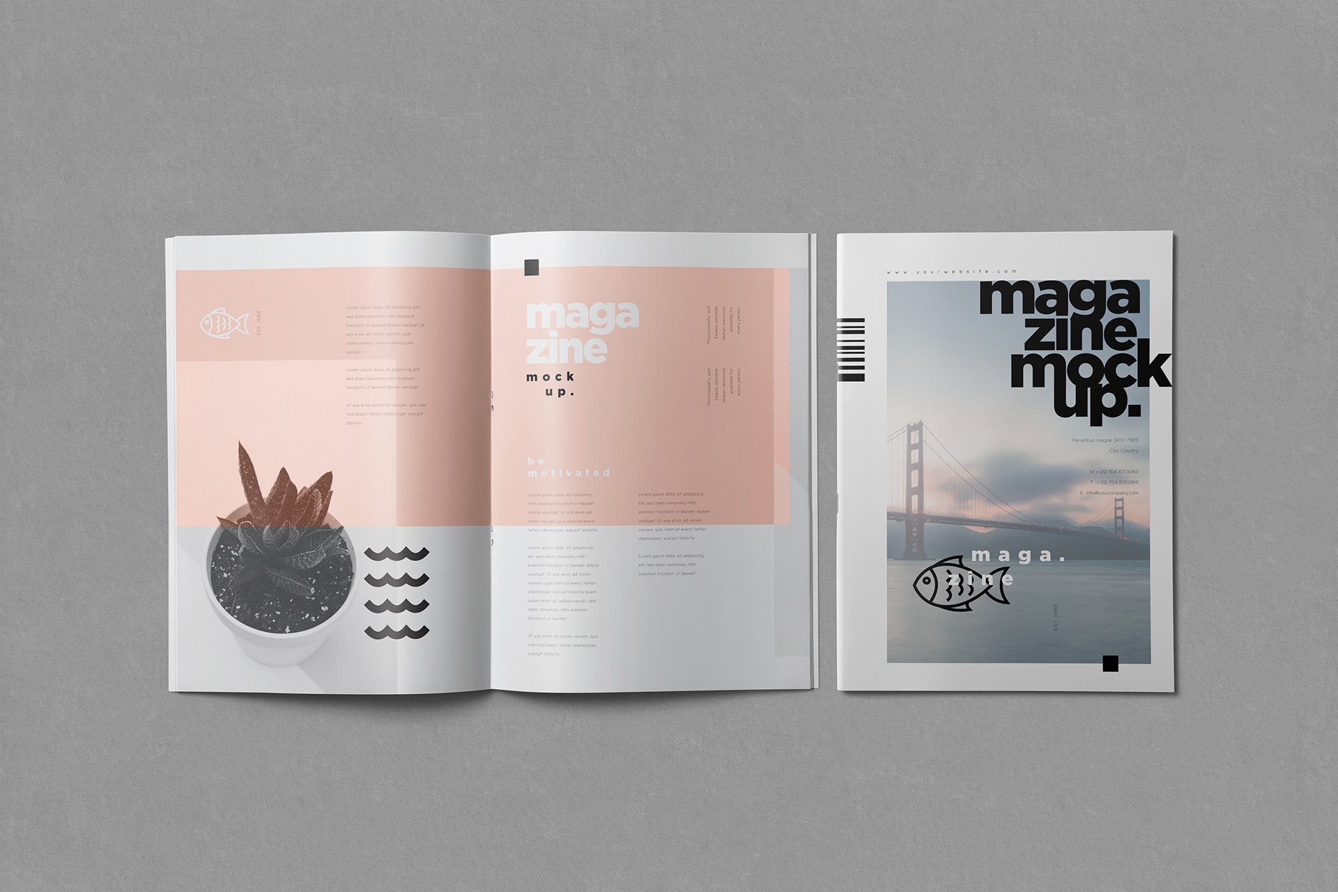 Open and Cover A4 Magazine Mockup