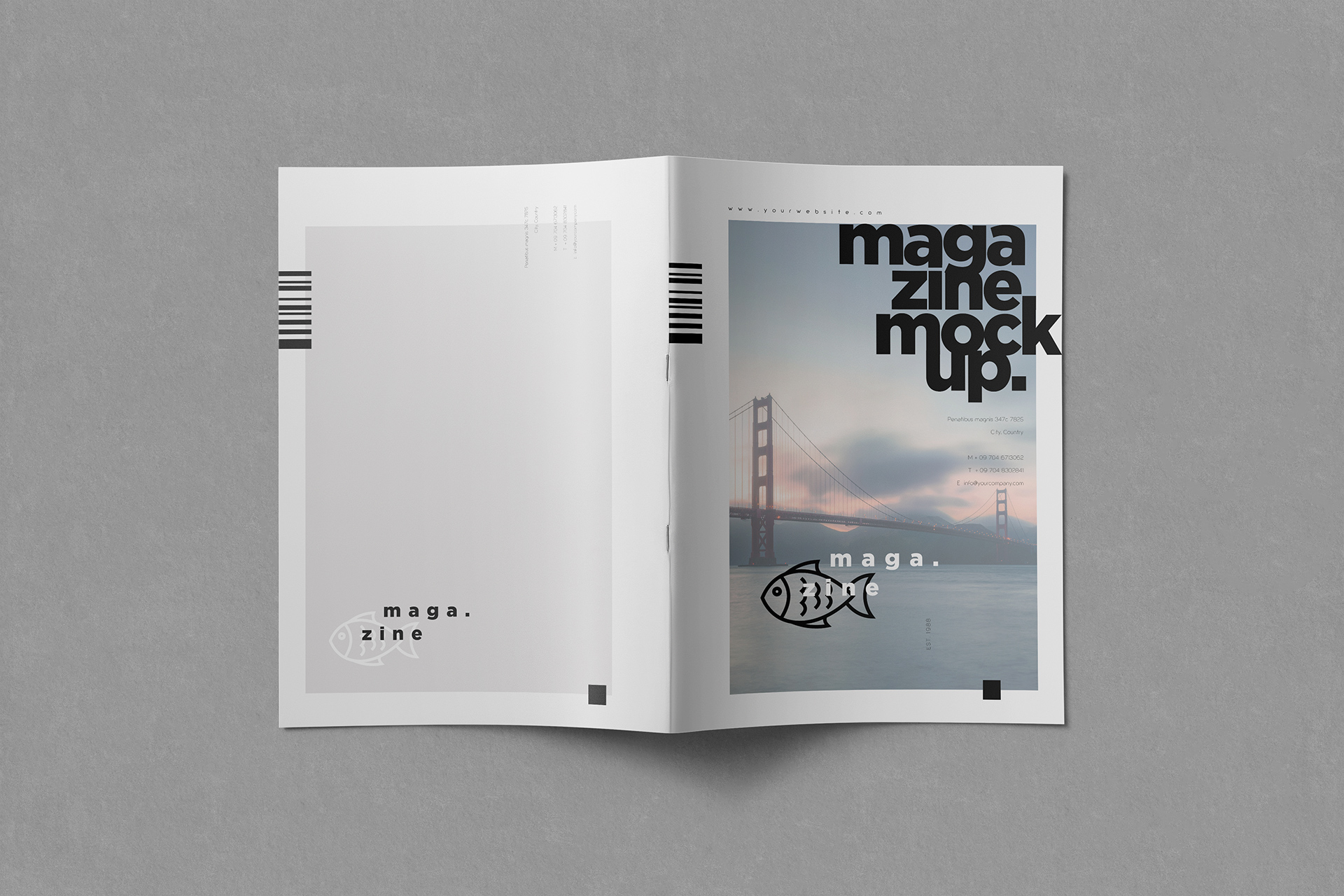 Flat Lay Front & Back Cover Magazine Mockup