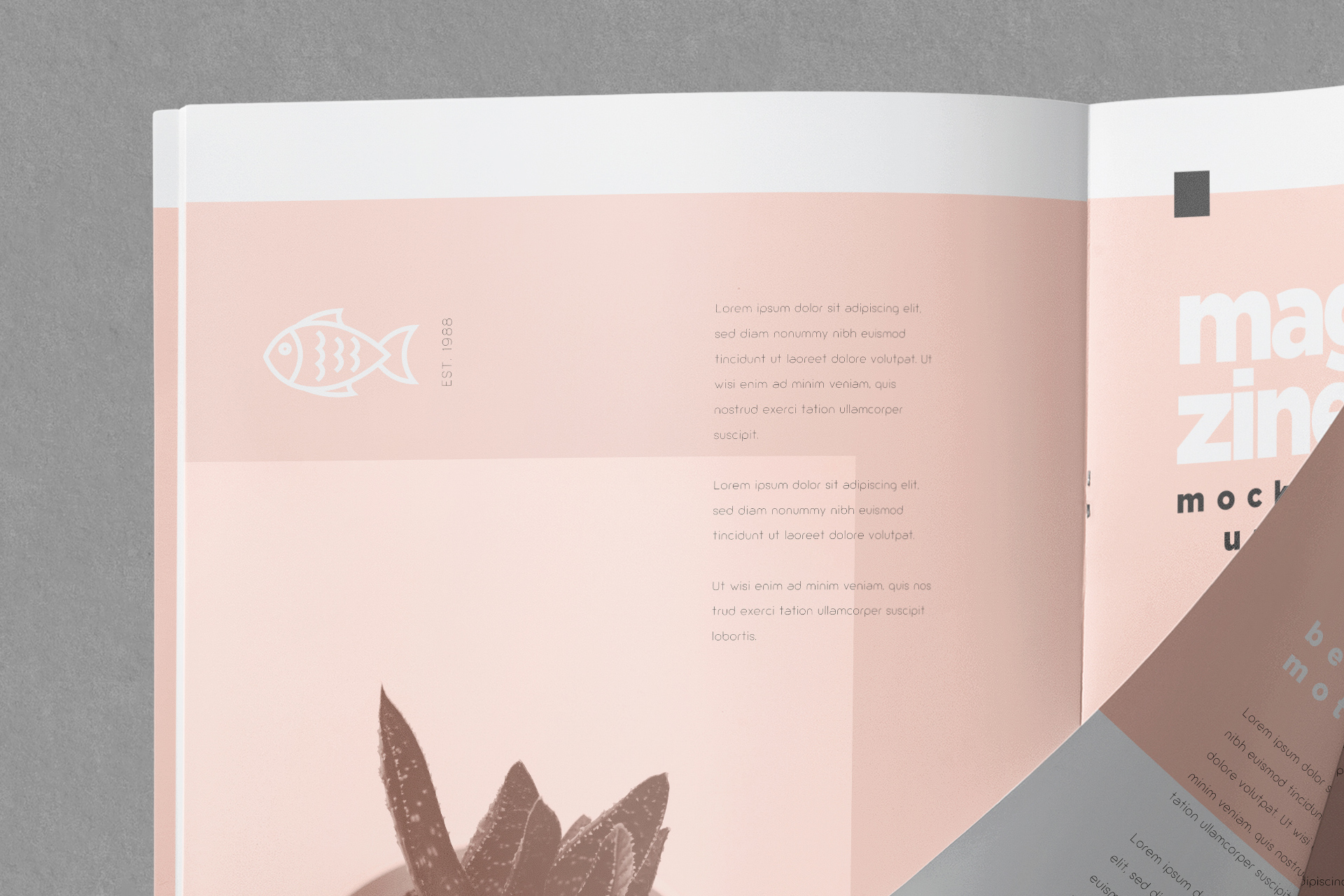 creative print mockup