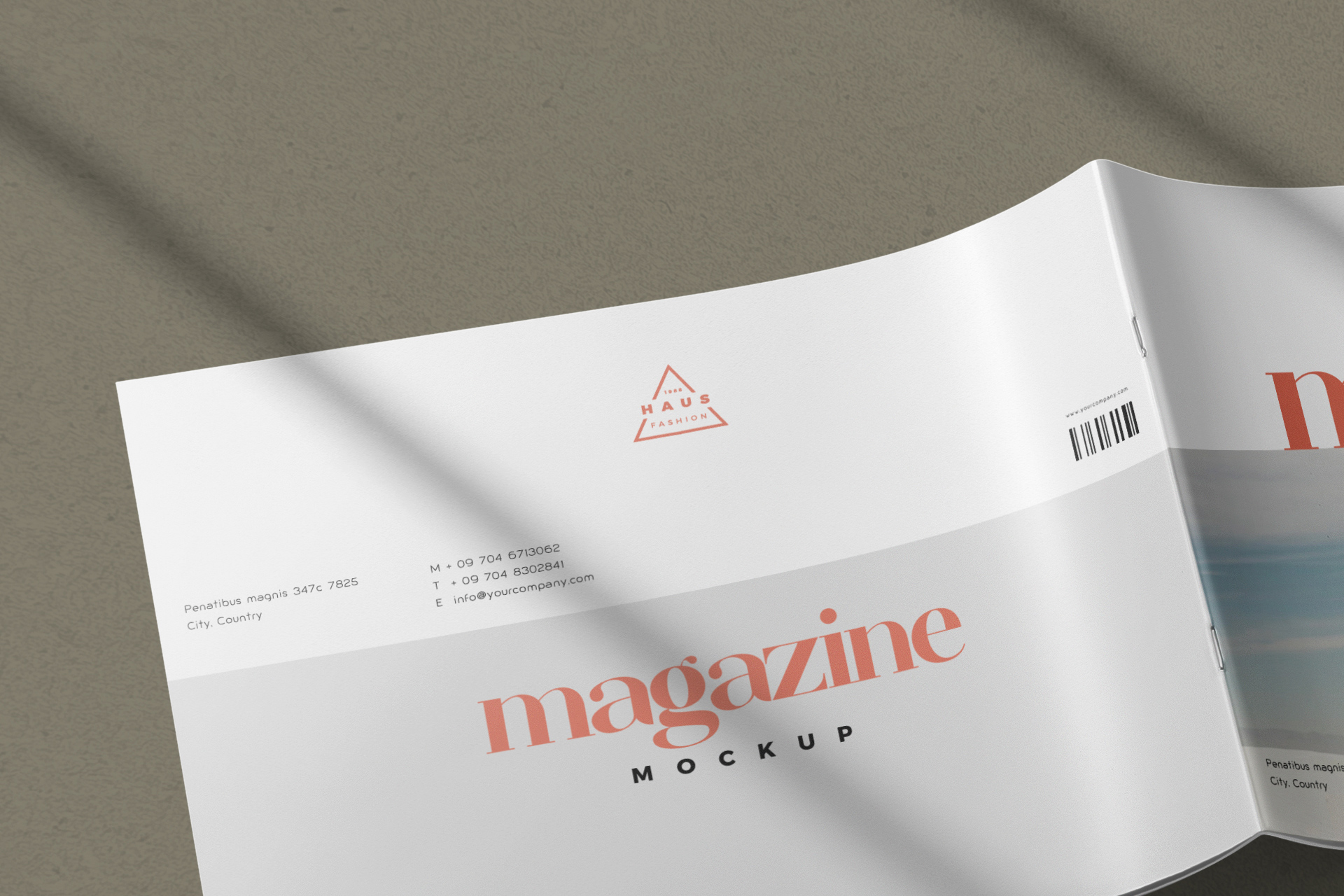 brochure mockup