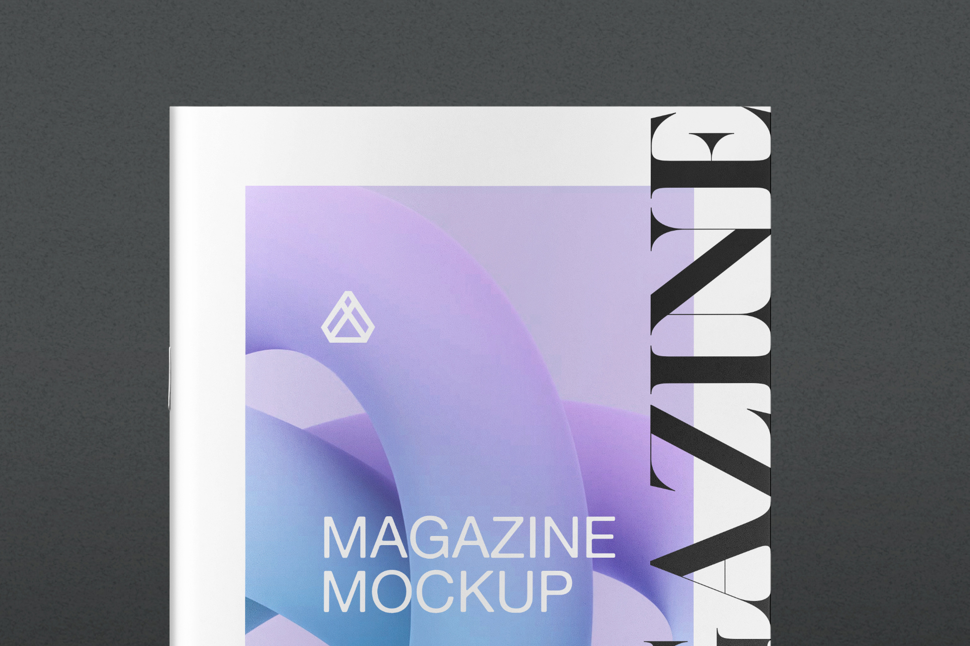 branding showcase PSD