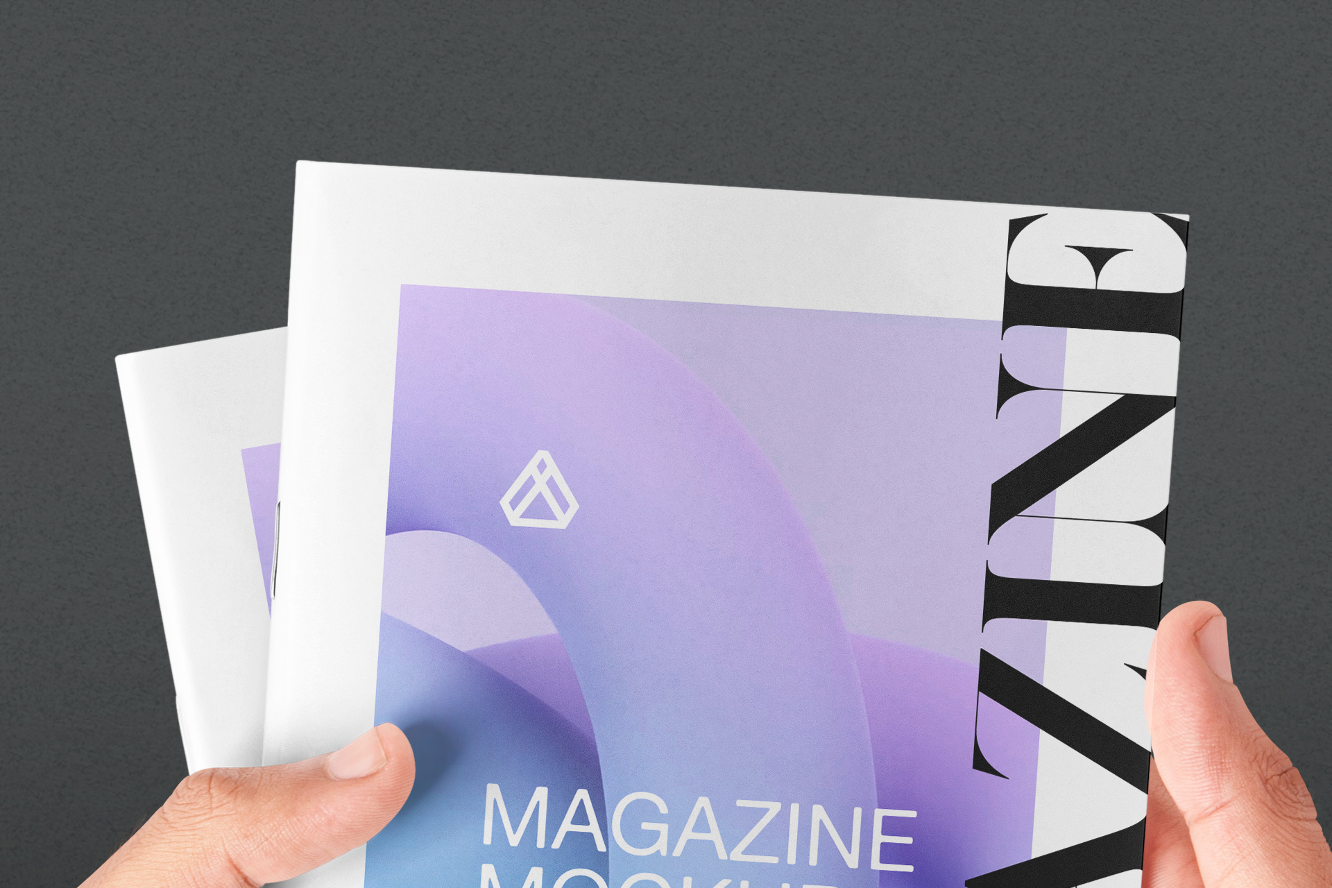 branding showcase template