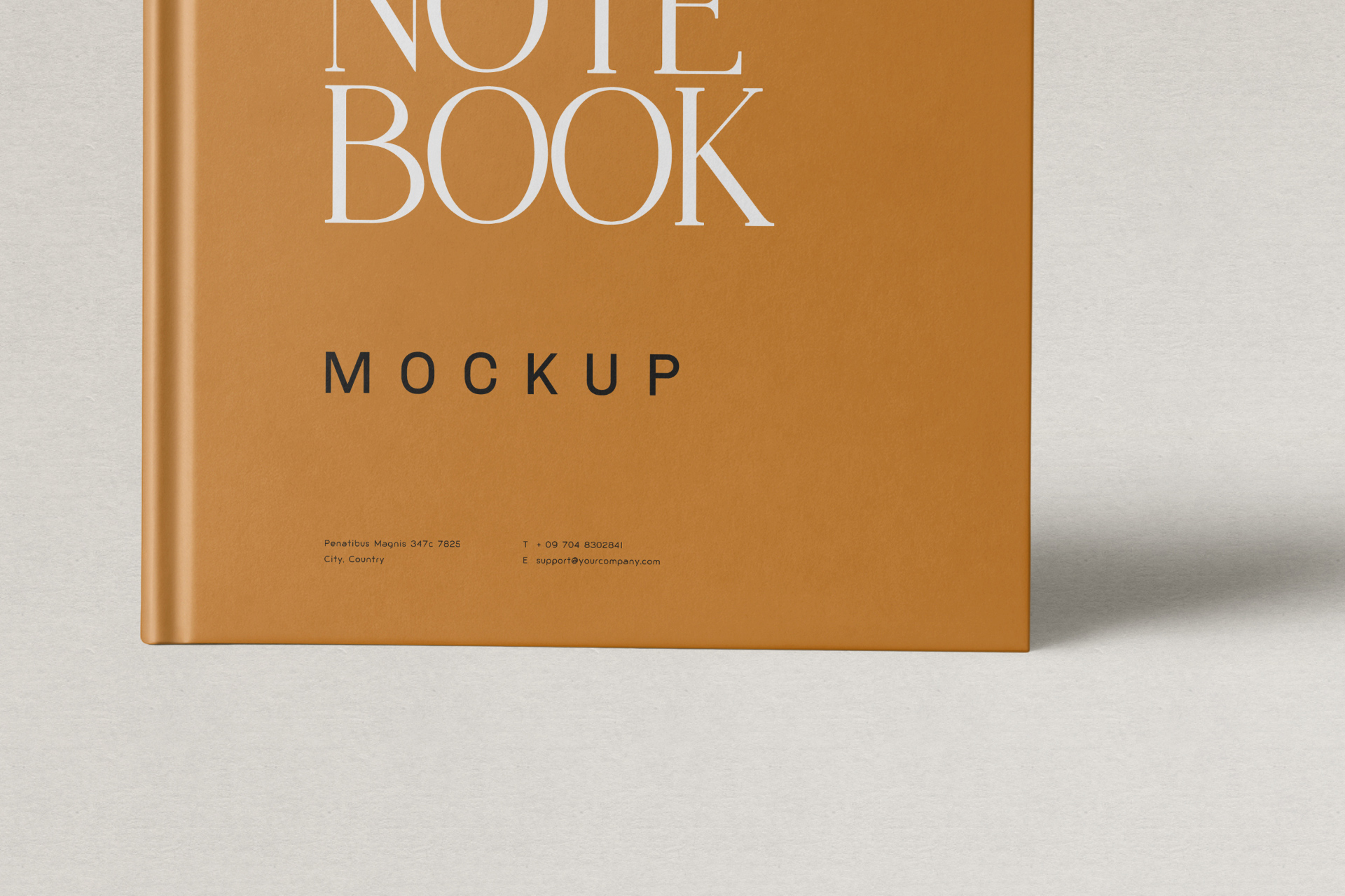 book cover mockup
