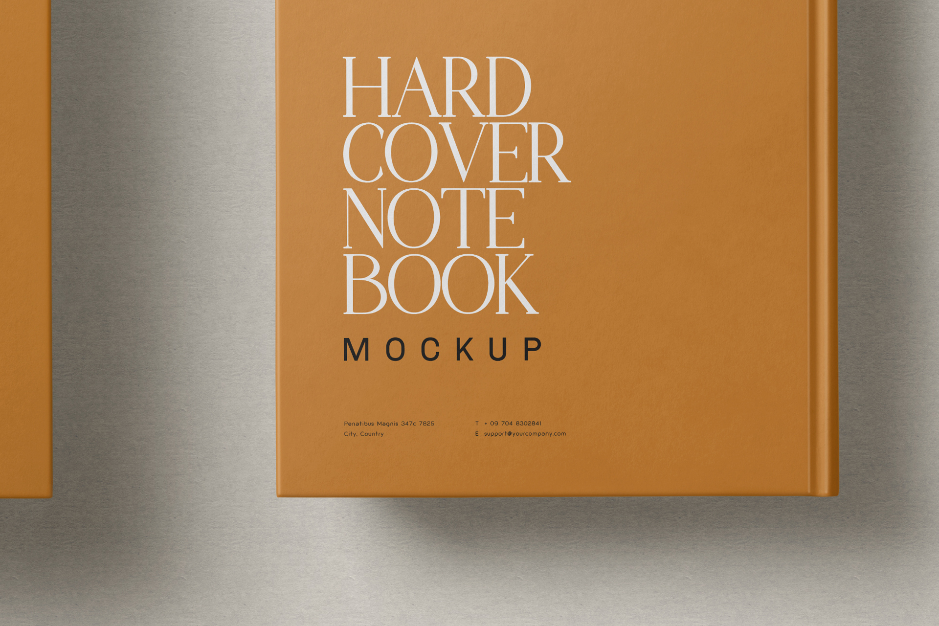 book cover comparison mockup