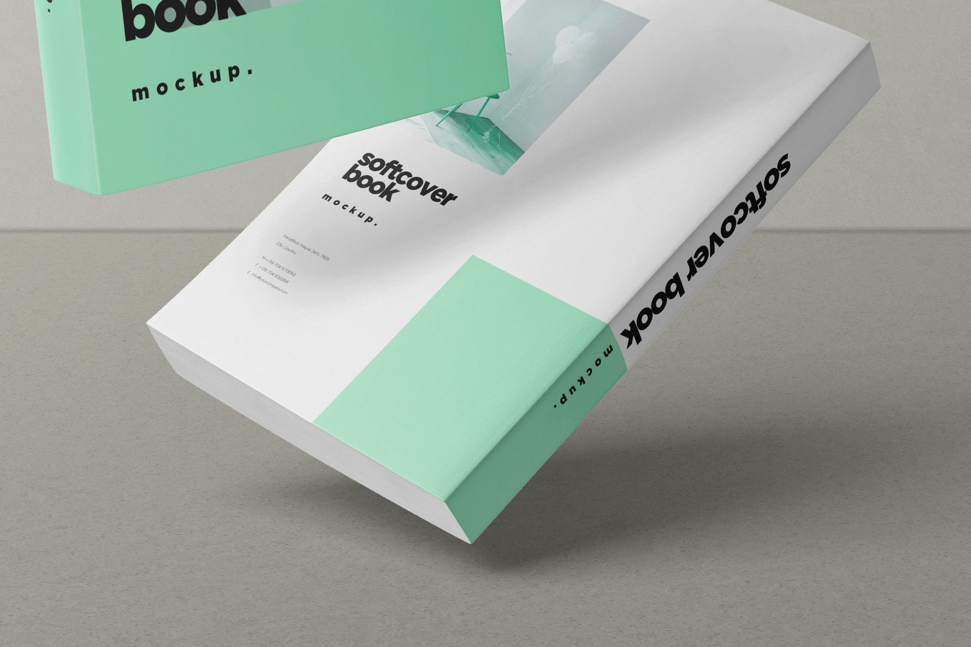 book branding PSD