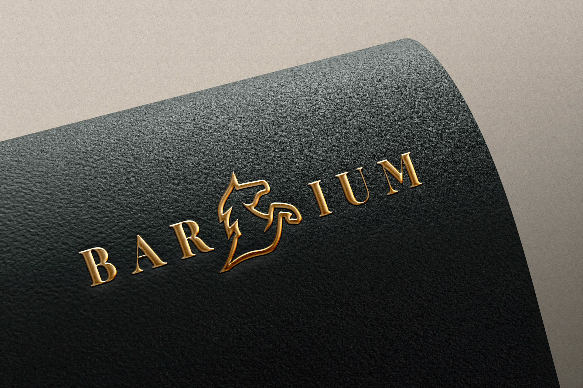Foil Logo Mockup on Dark Textured Folder
