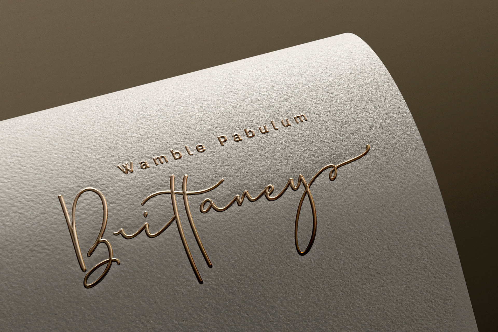 branding identity mockup
