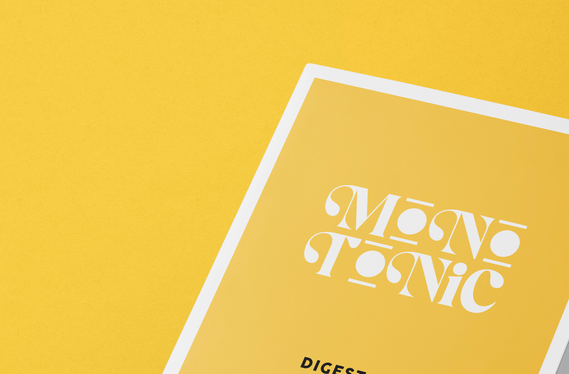 advertising book mock-up