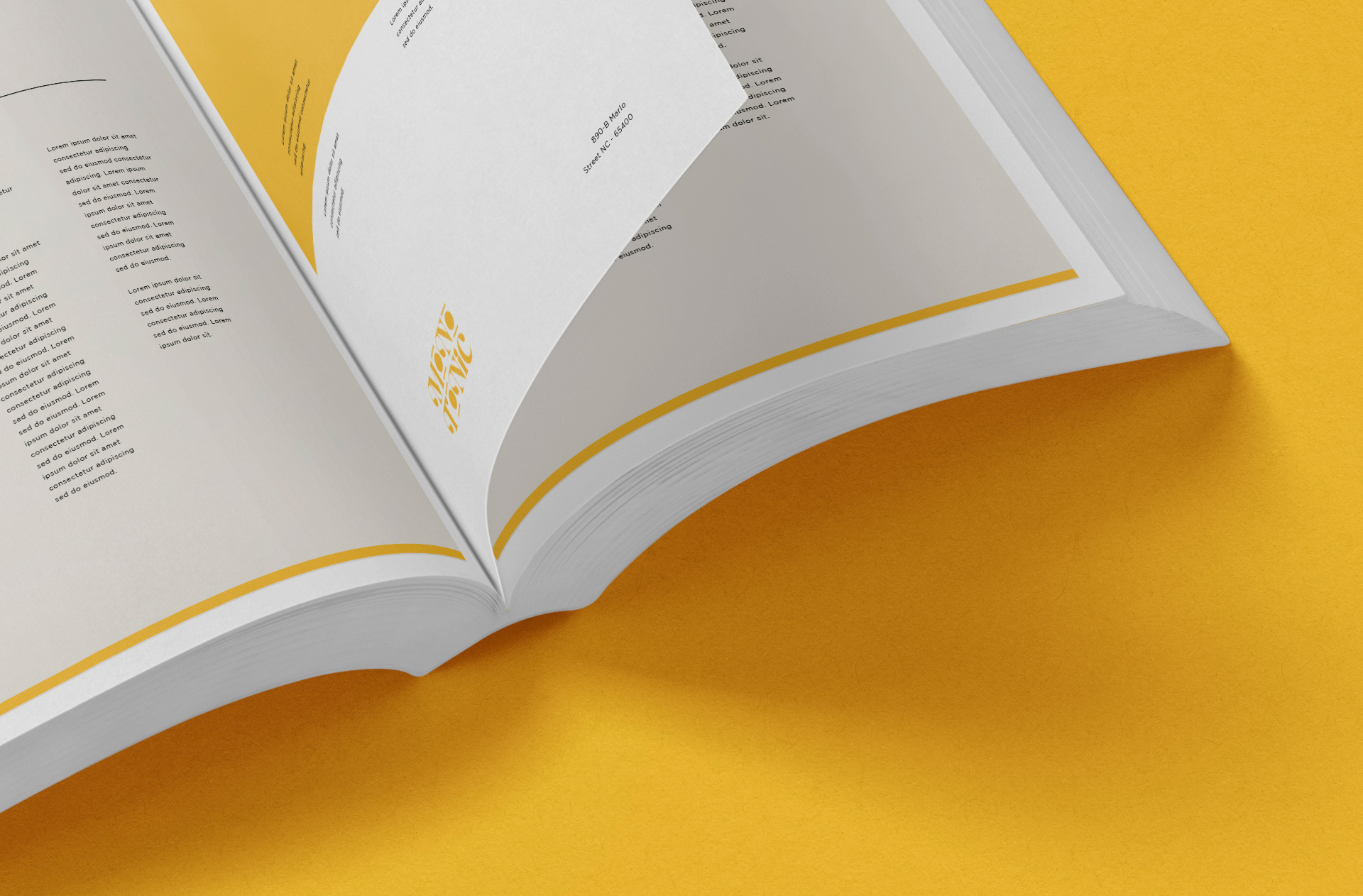 advertising book mock-up