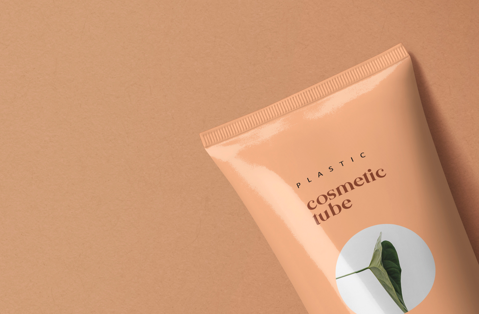 beauty & wellness branding