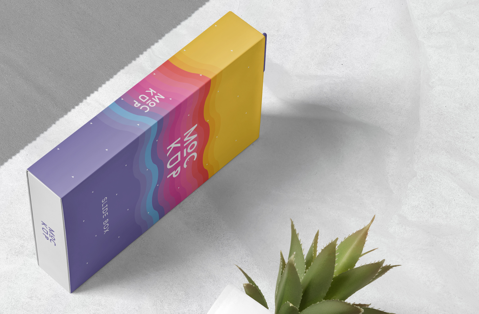 branding mockup