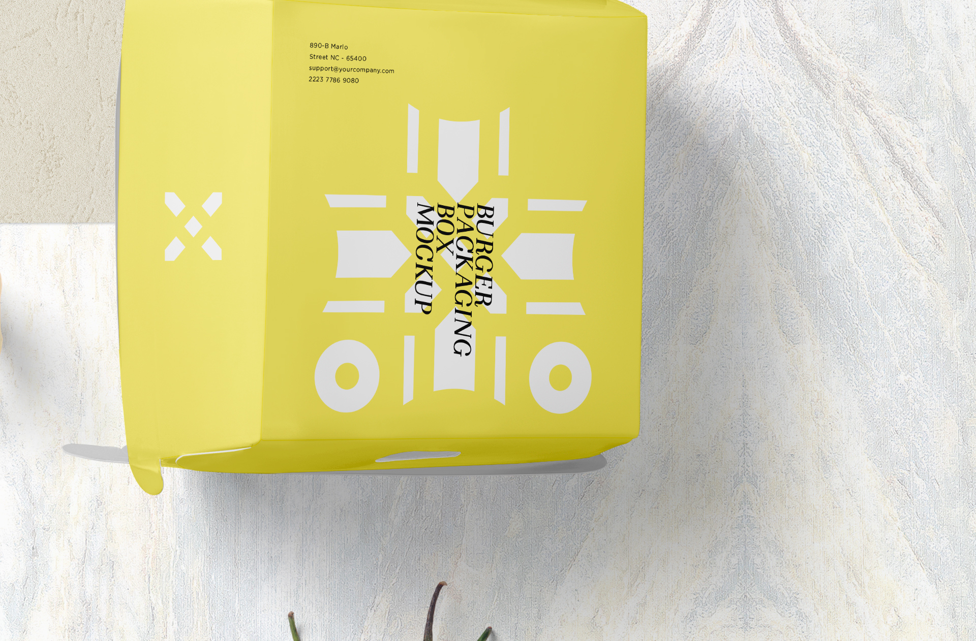 cardboard packaging