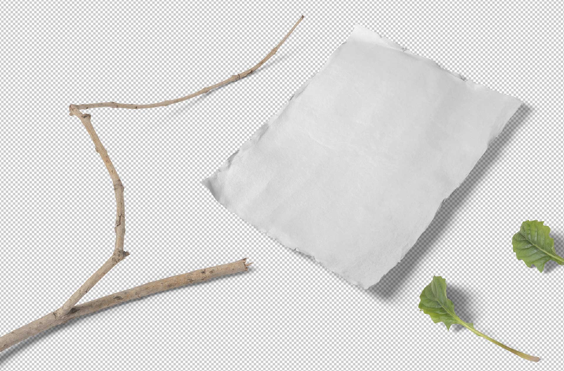 branding poster mock-up