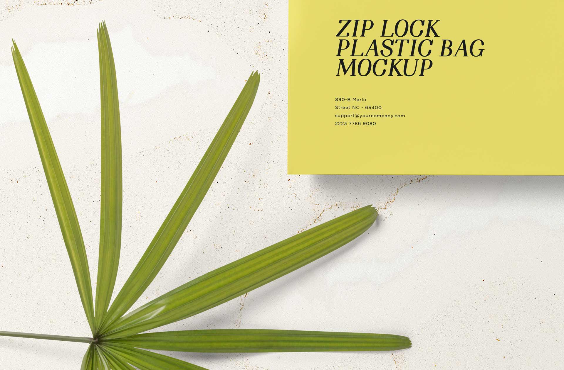 cosmetic packaging mockup