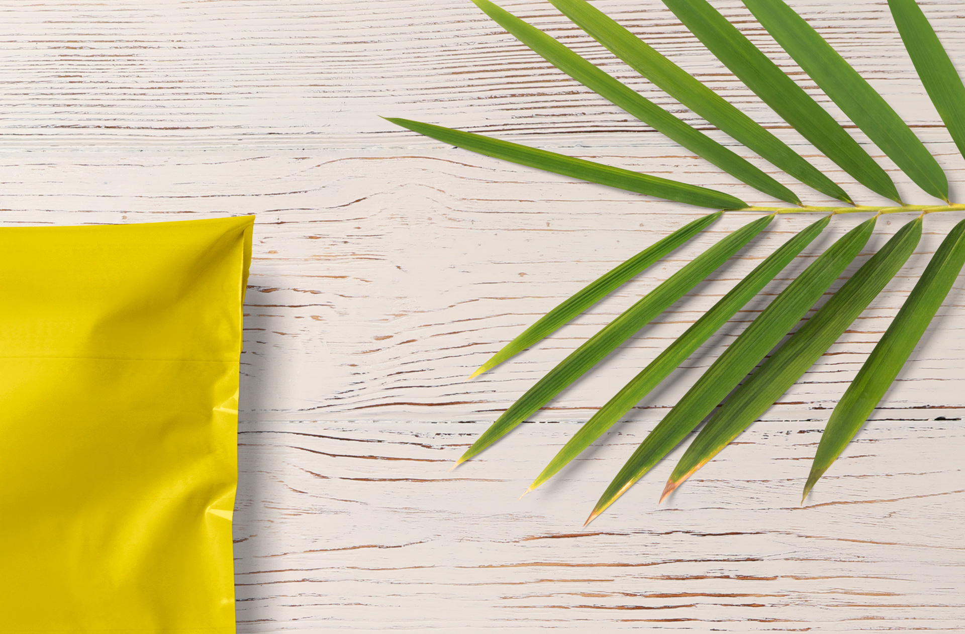 branding bag mockup