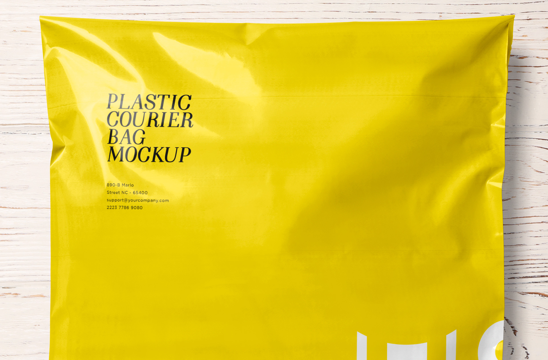 branding bag mockup