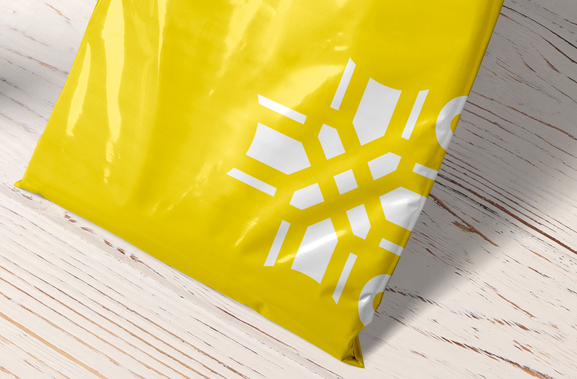 branding courier bag