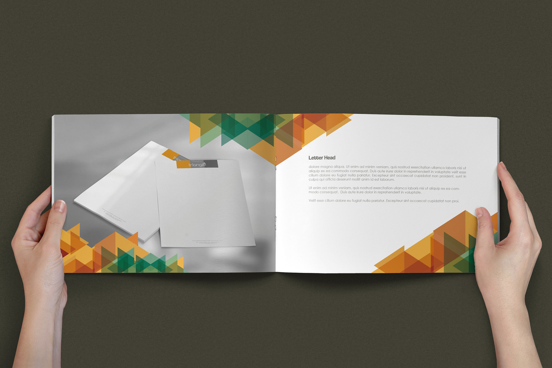 brand book