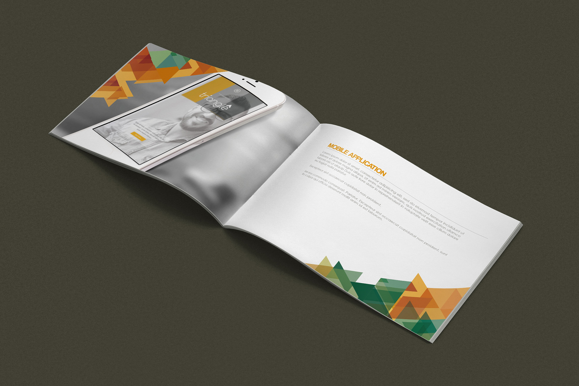 brand book