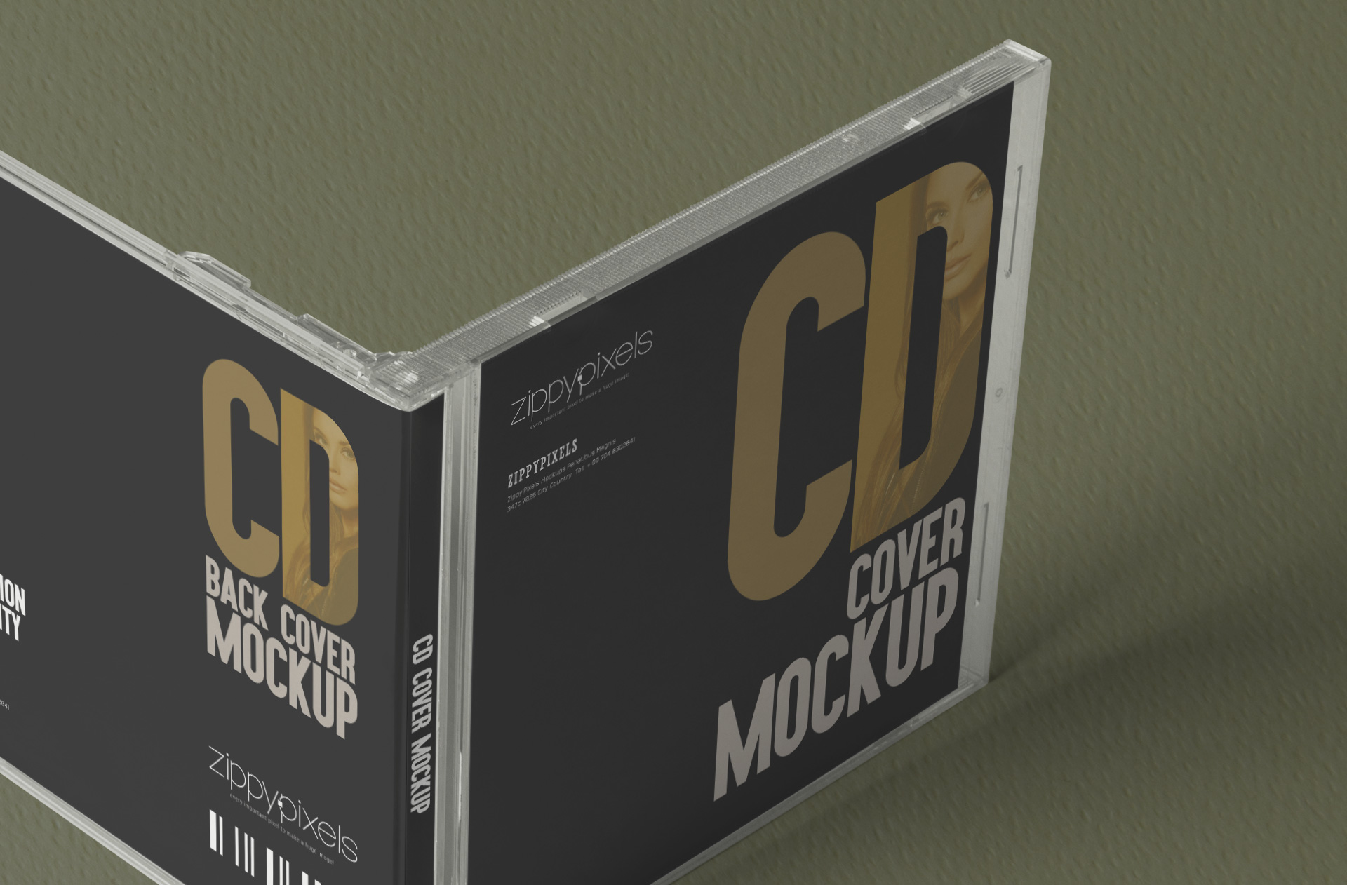 editable cd sleeve