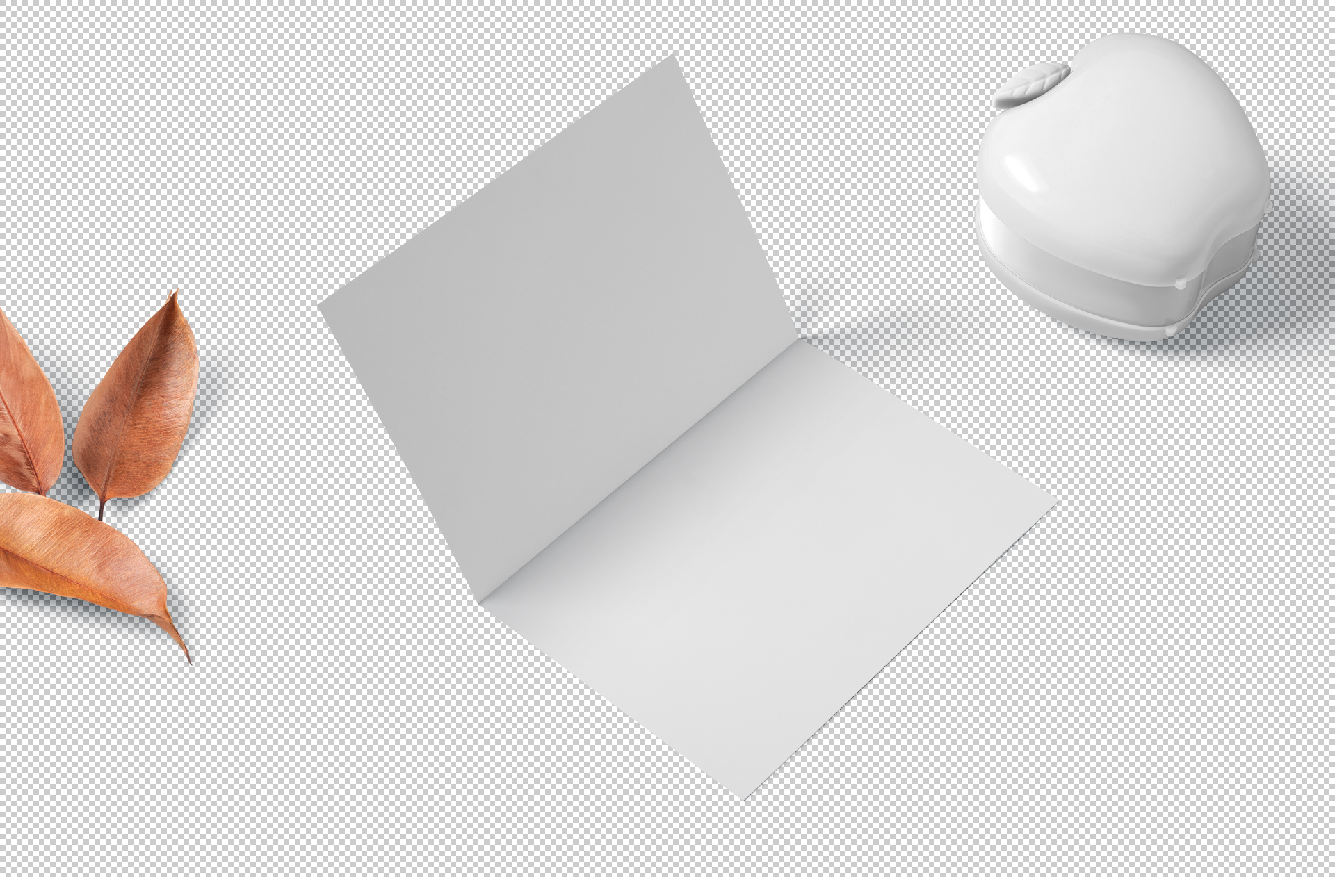 a4 brochure