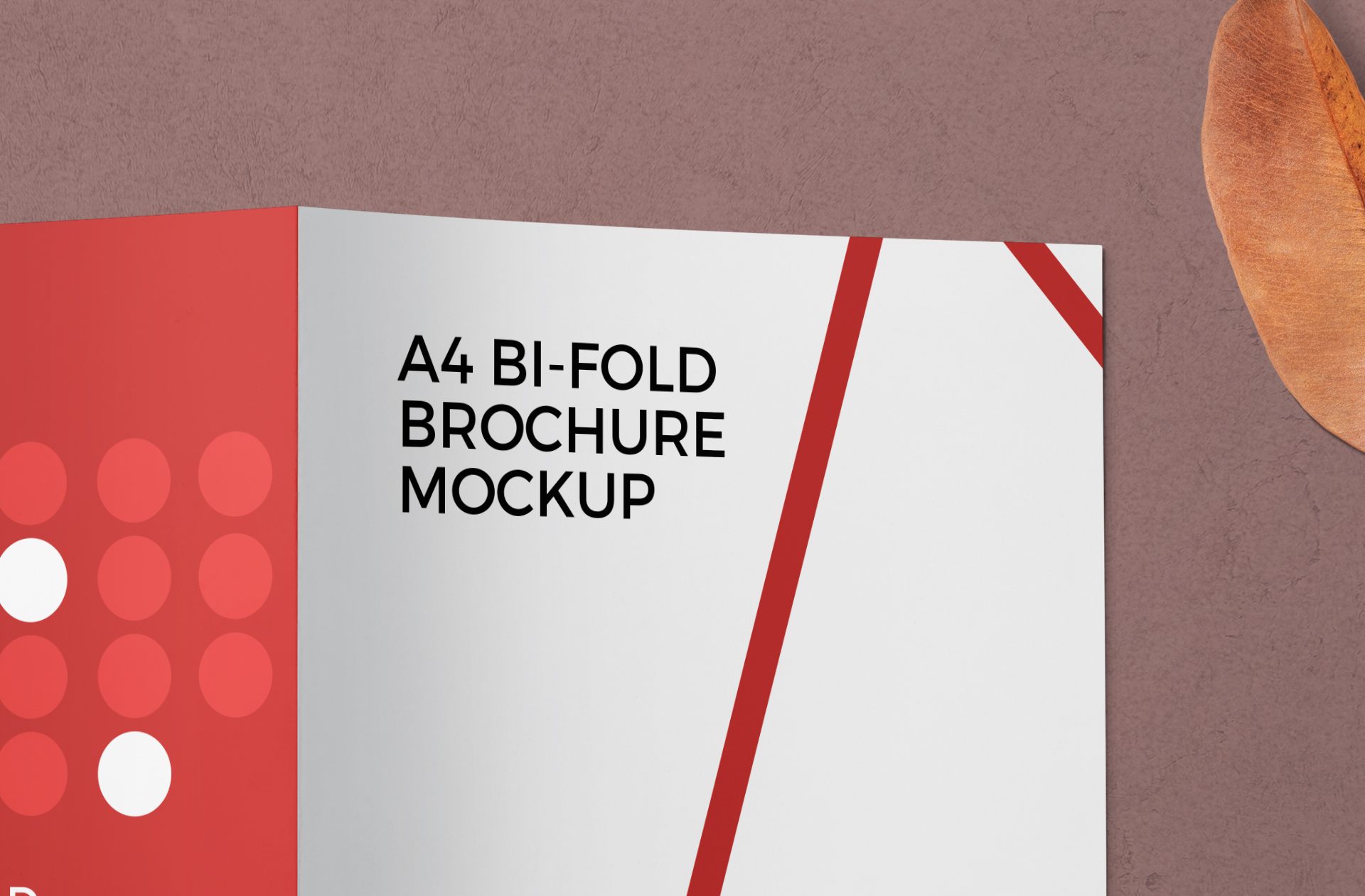 a4 brochure