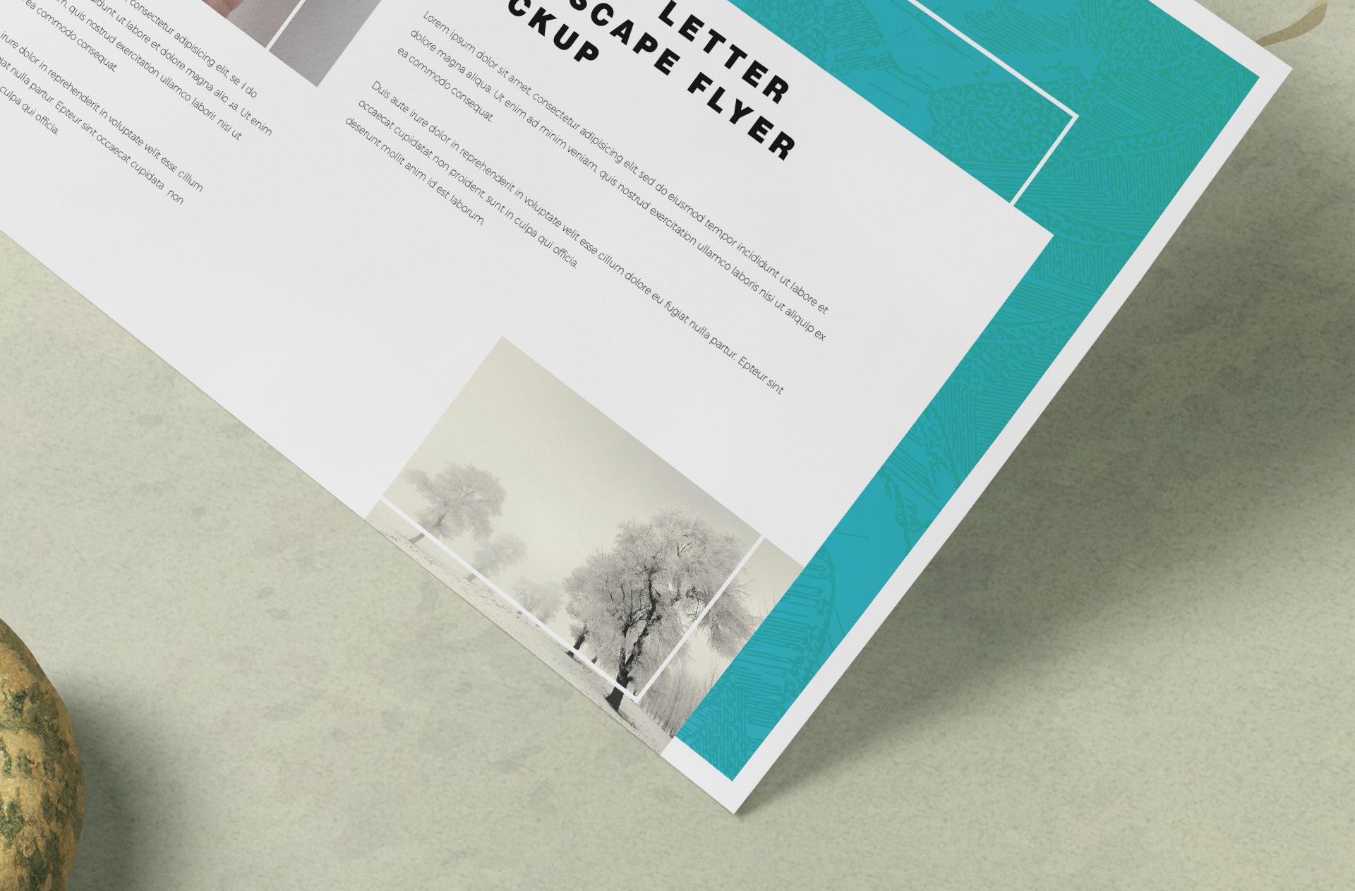 advertising flyer